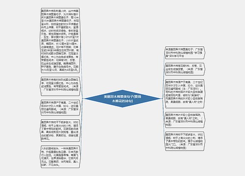 美丽异木棉赞美句子(赞扬木棉花的诗句)