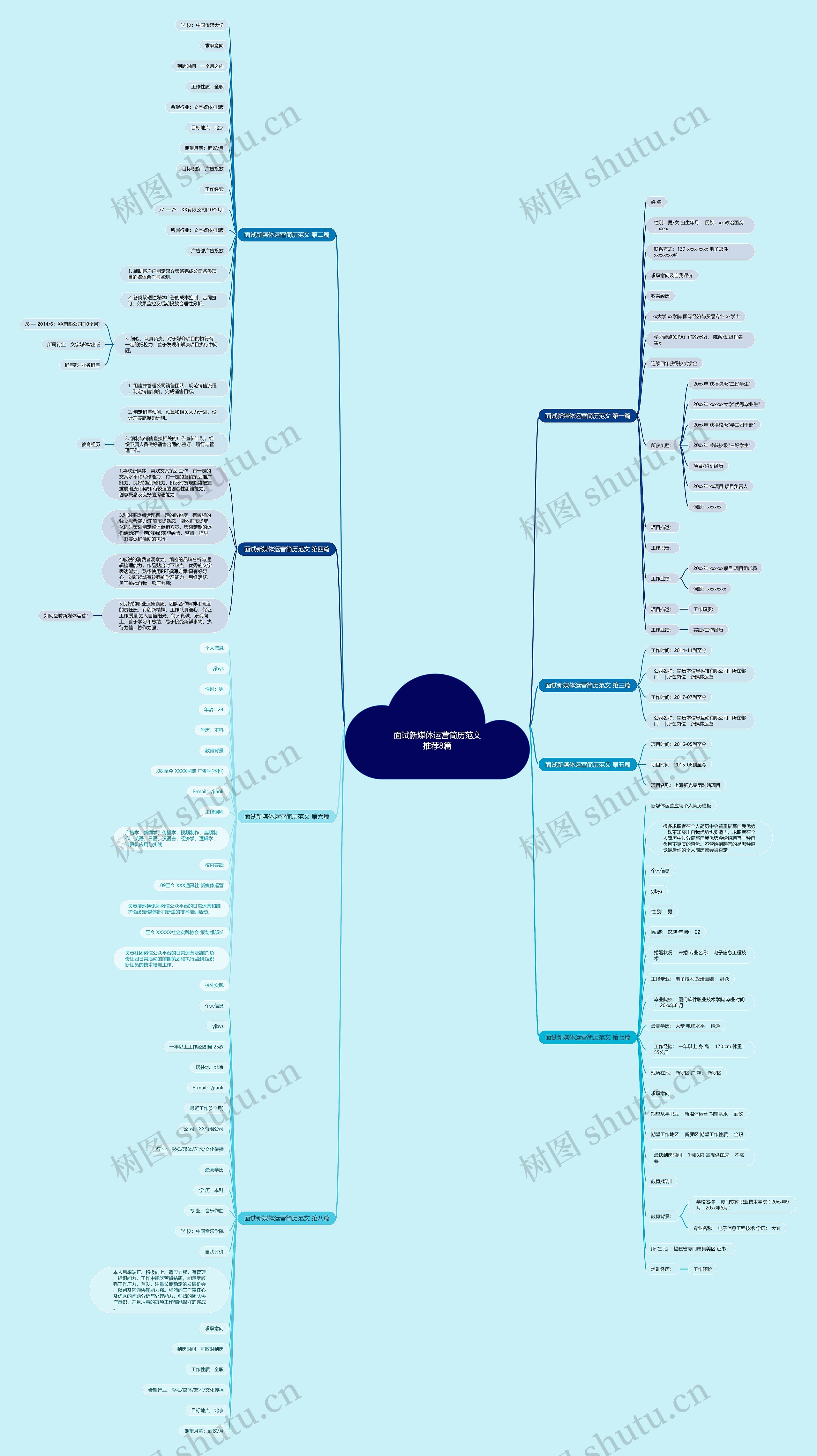 面试新媒体运营简历范文推荐8篇思维导图