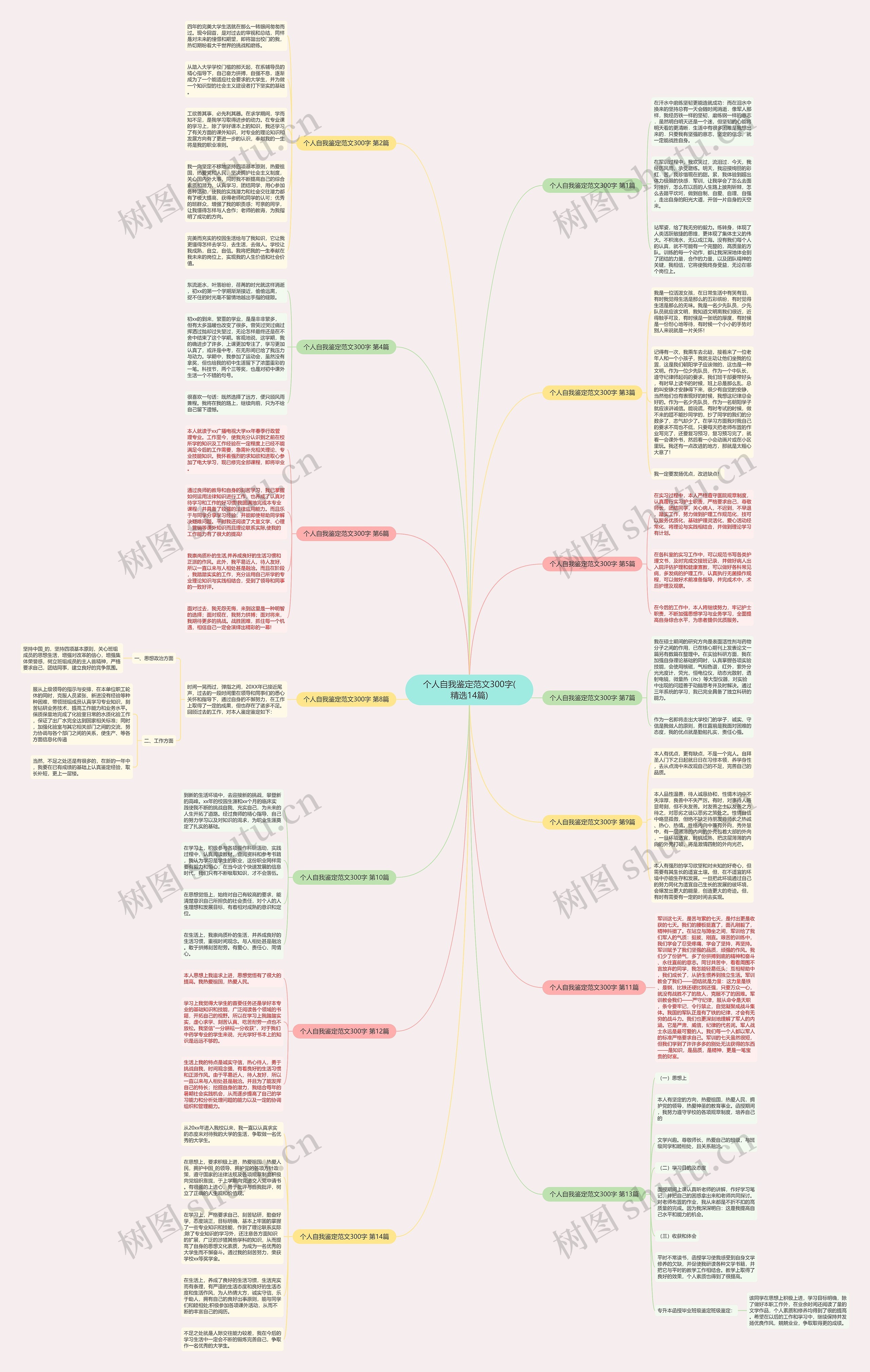 个人自我鉴定范文300字(精选14篇)思维导图