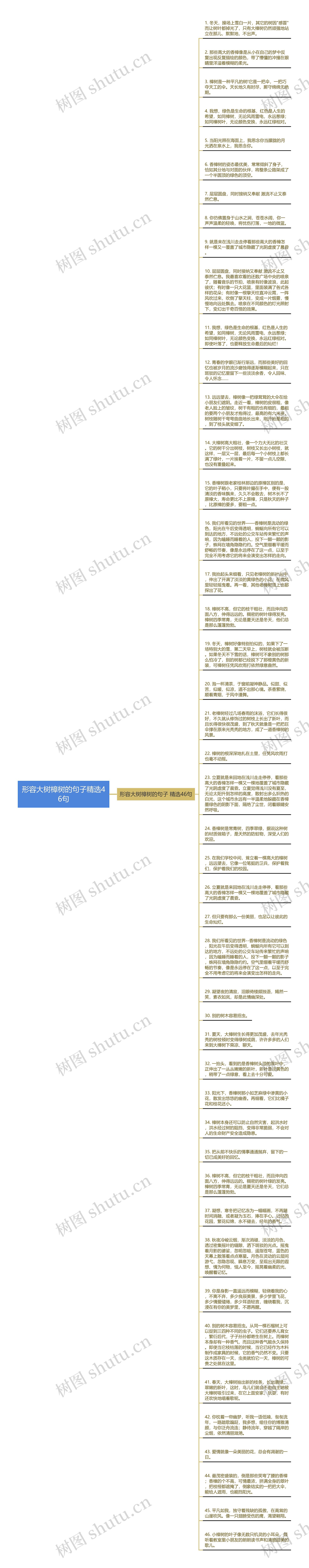 形容大树樟树的句子精选46句