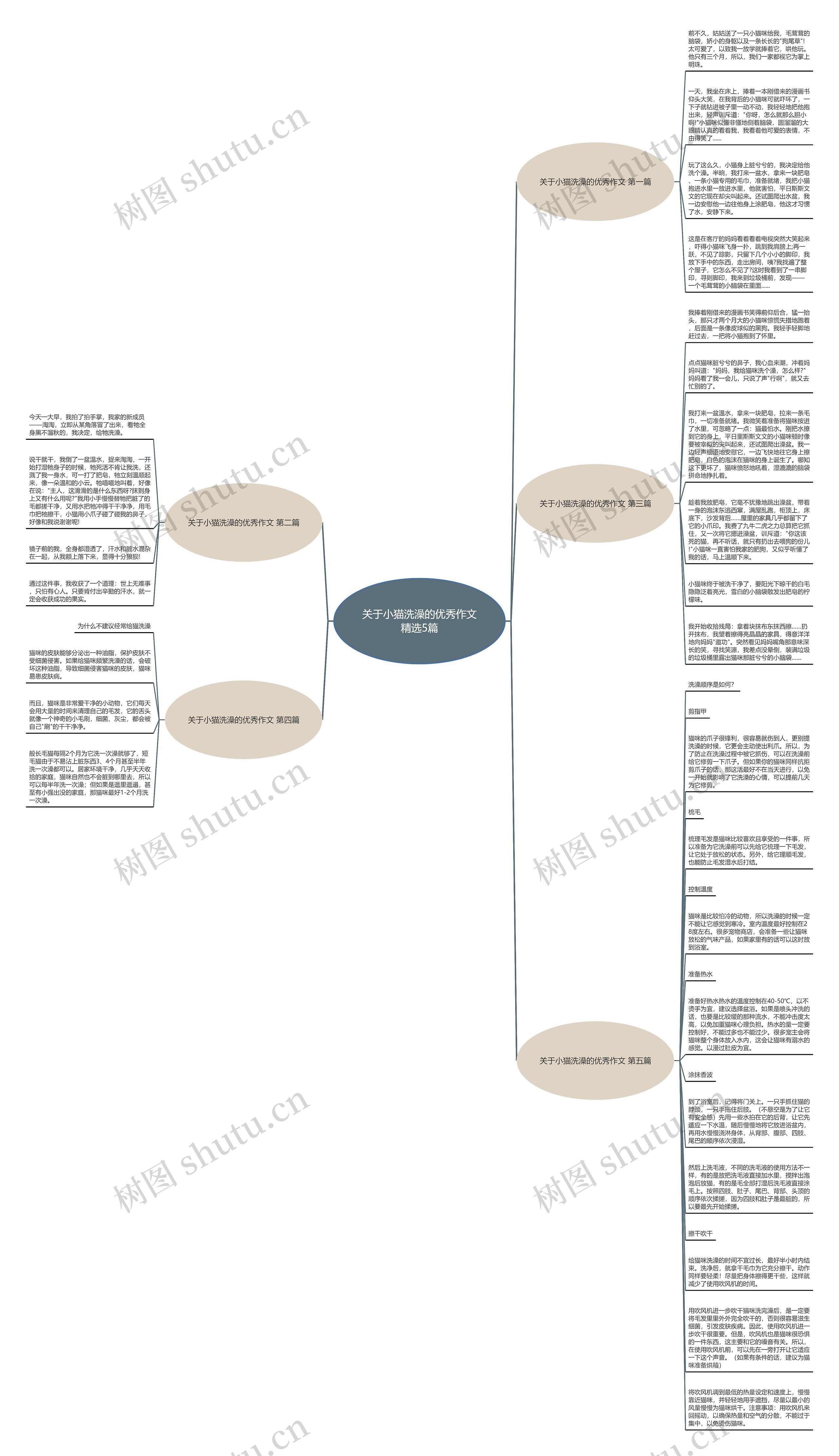 关于小猫洗澡的优秀作文精选5篇思维导图