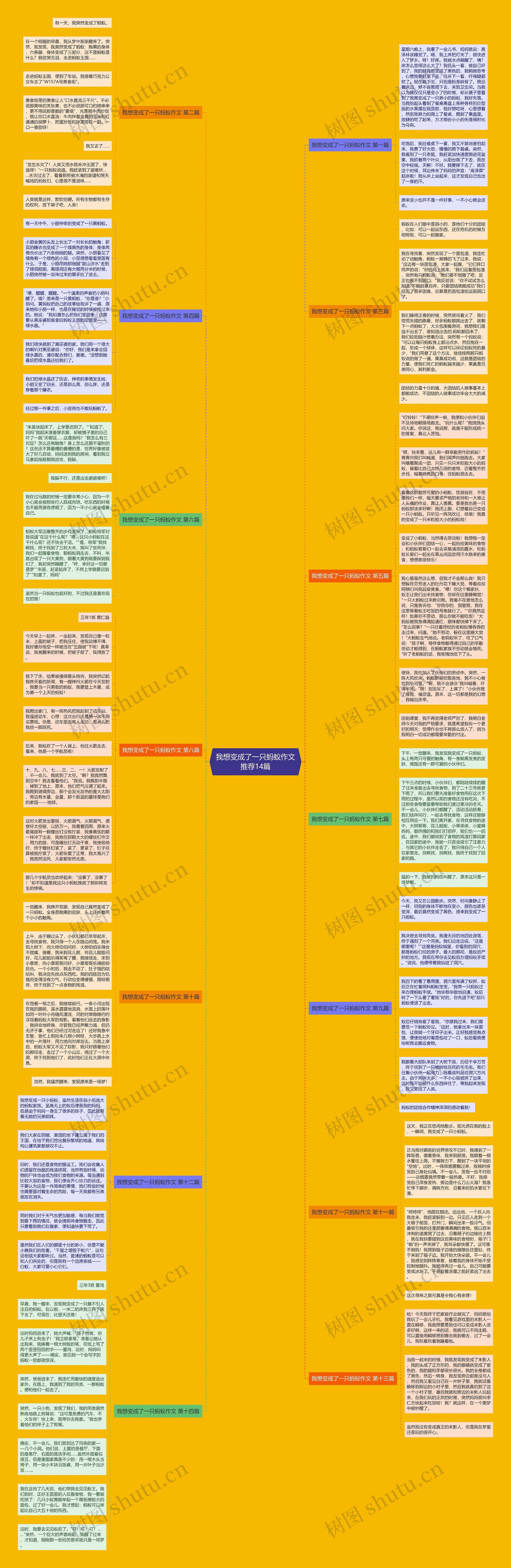 我想变成了一只蚂蚁作文推荐14篇思维导图