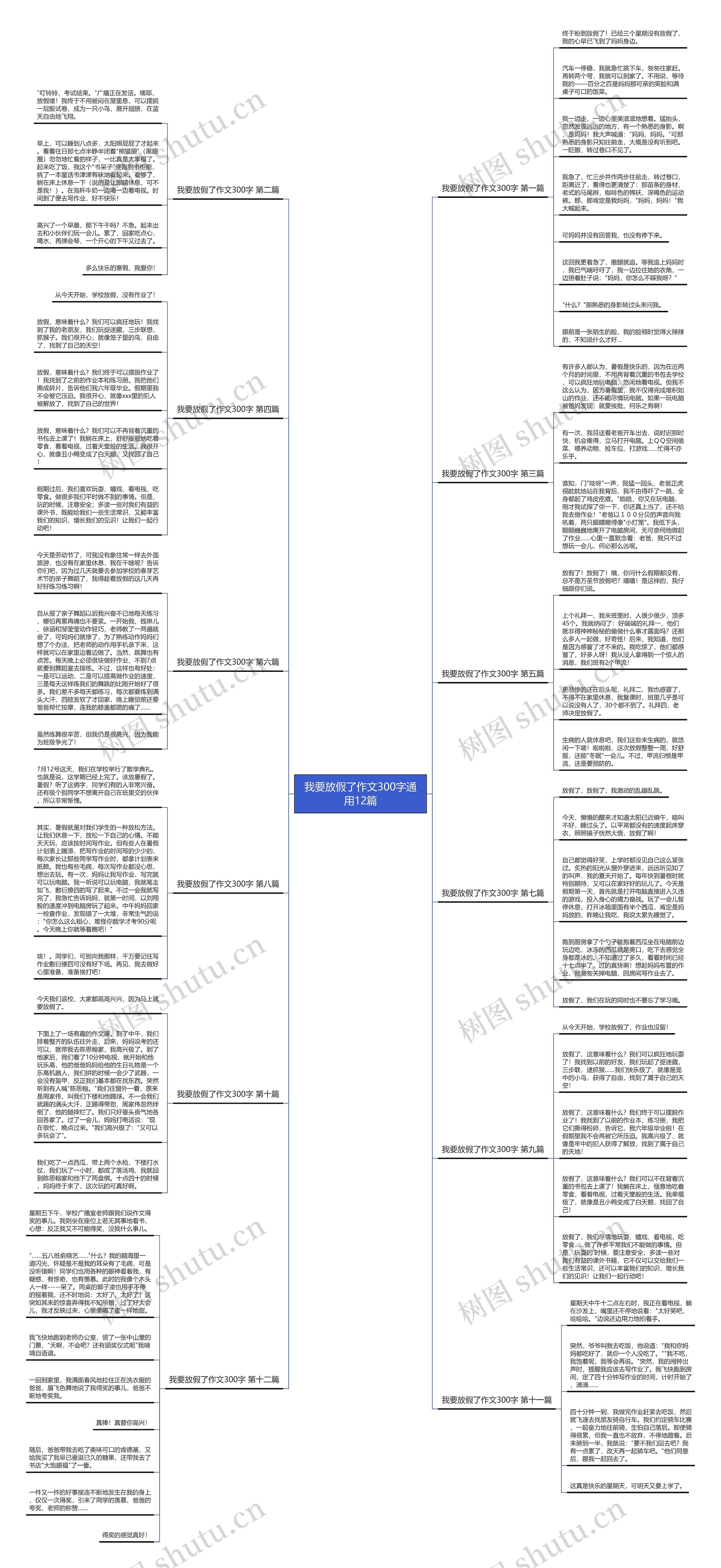 我要放假了作文300字通用12篇思维导图