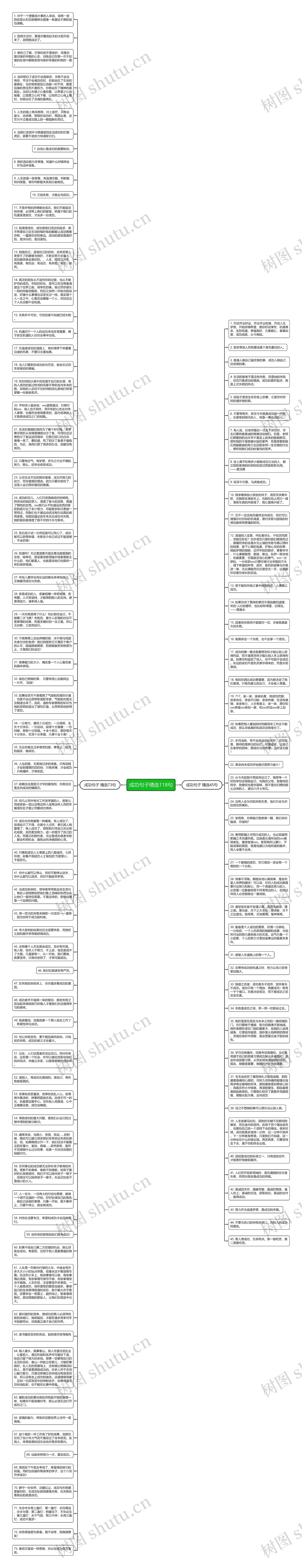成功句子精选118句思维导图