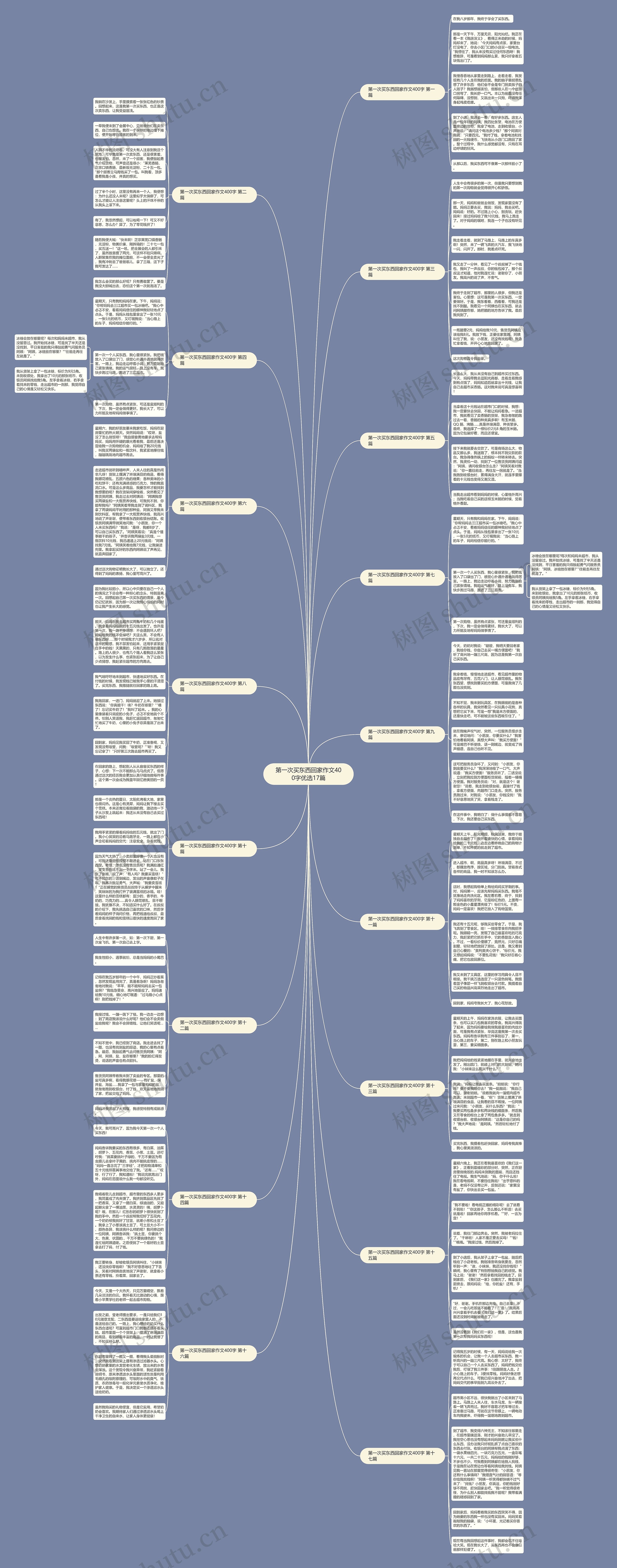 第一次买东西回家作文400字优选17篇思维导图