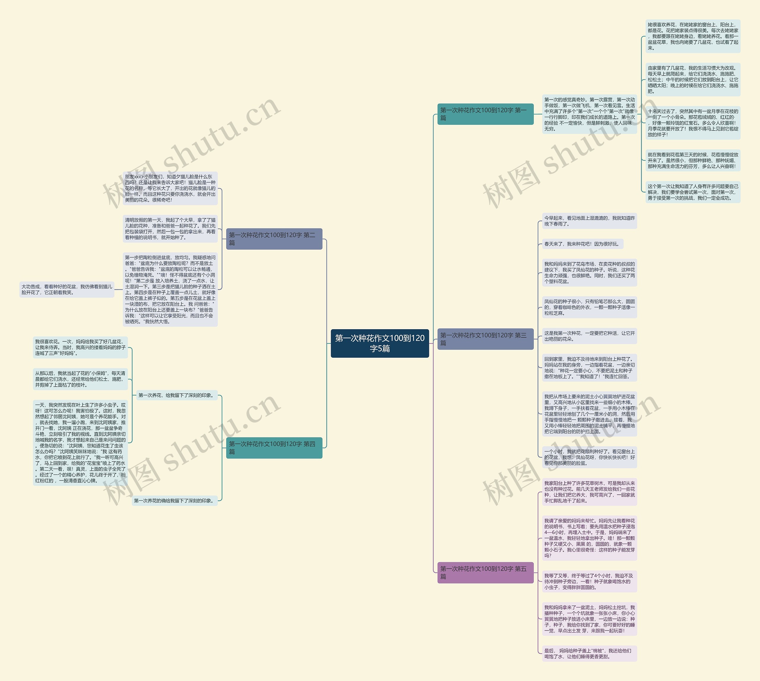 第一次种花作文100到120字5篇思维导图