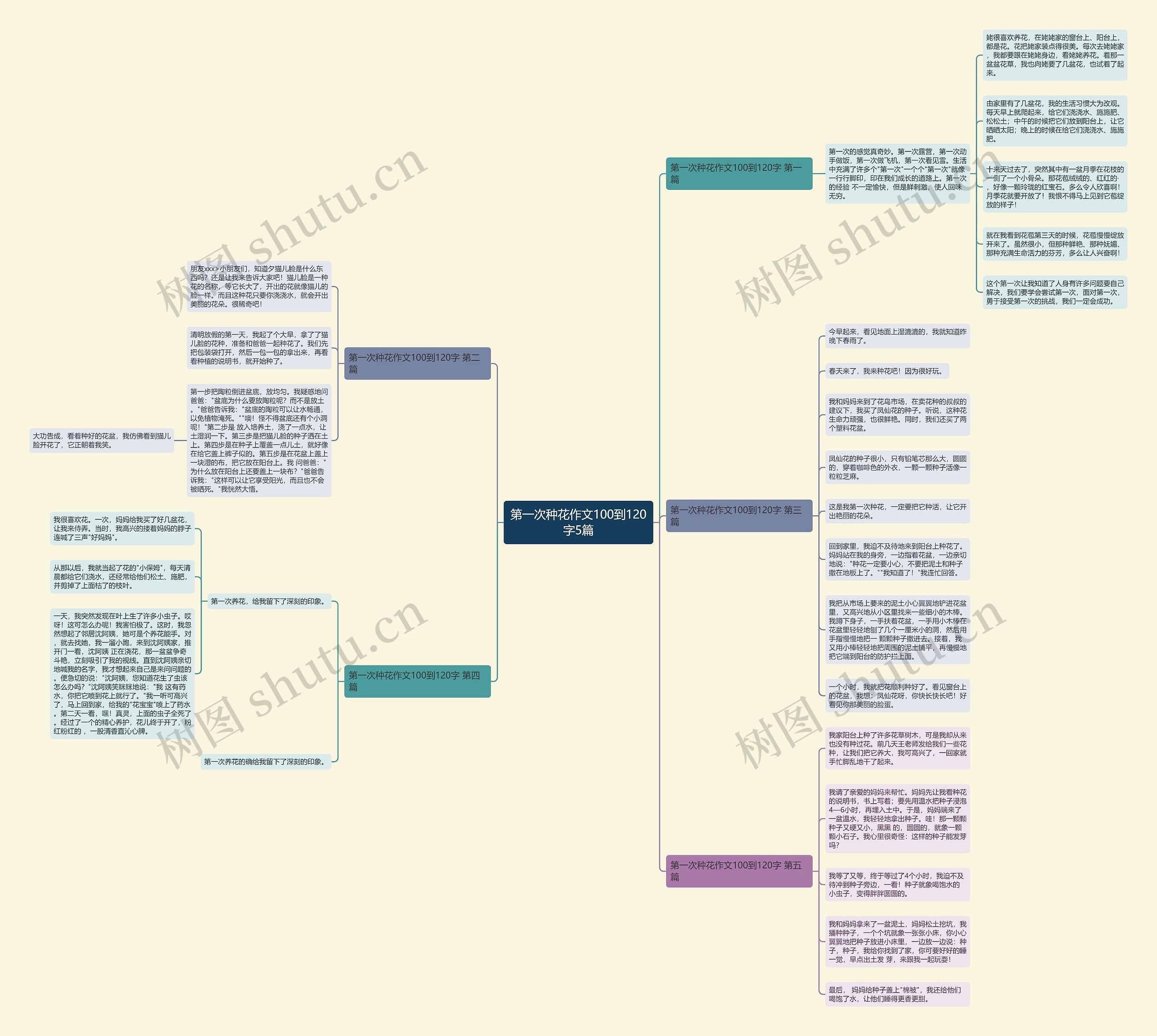 第一次种花作文100到120字5篇 第一次种花作文100到120字5篇