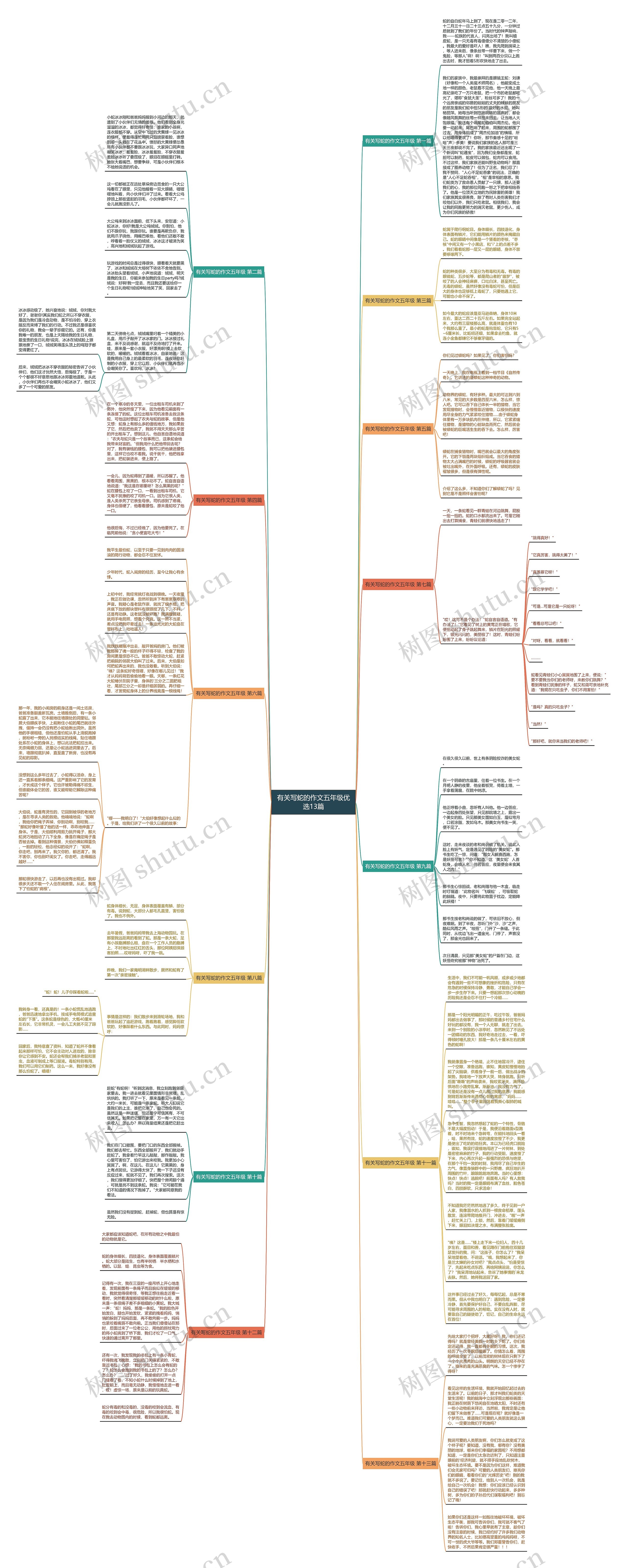 有关写蛇的作文五年级优选13篇思维导图