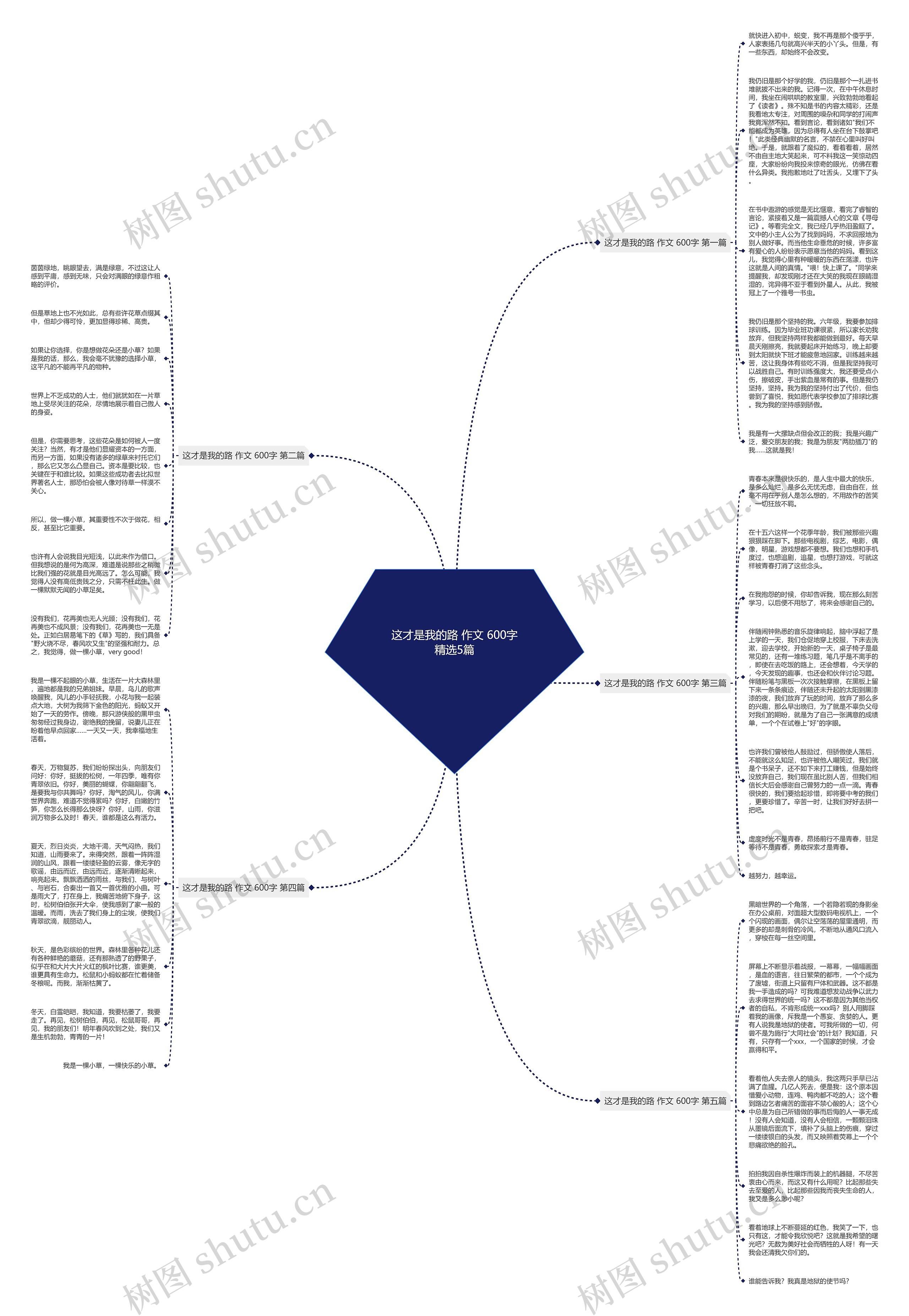 这才是我的路 作文 600字精选5篇思维导图