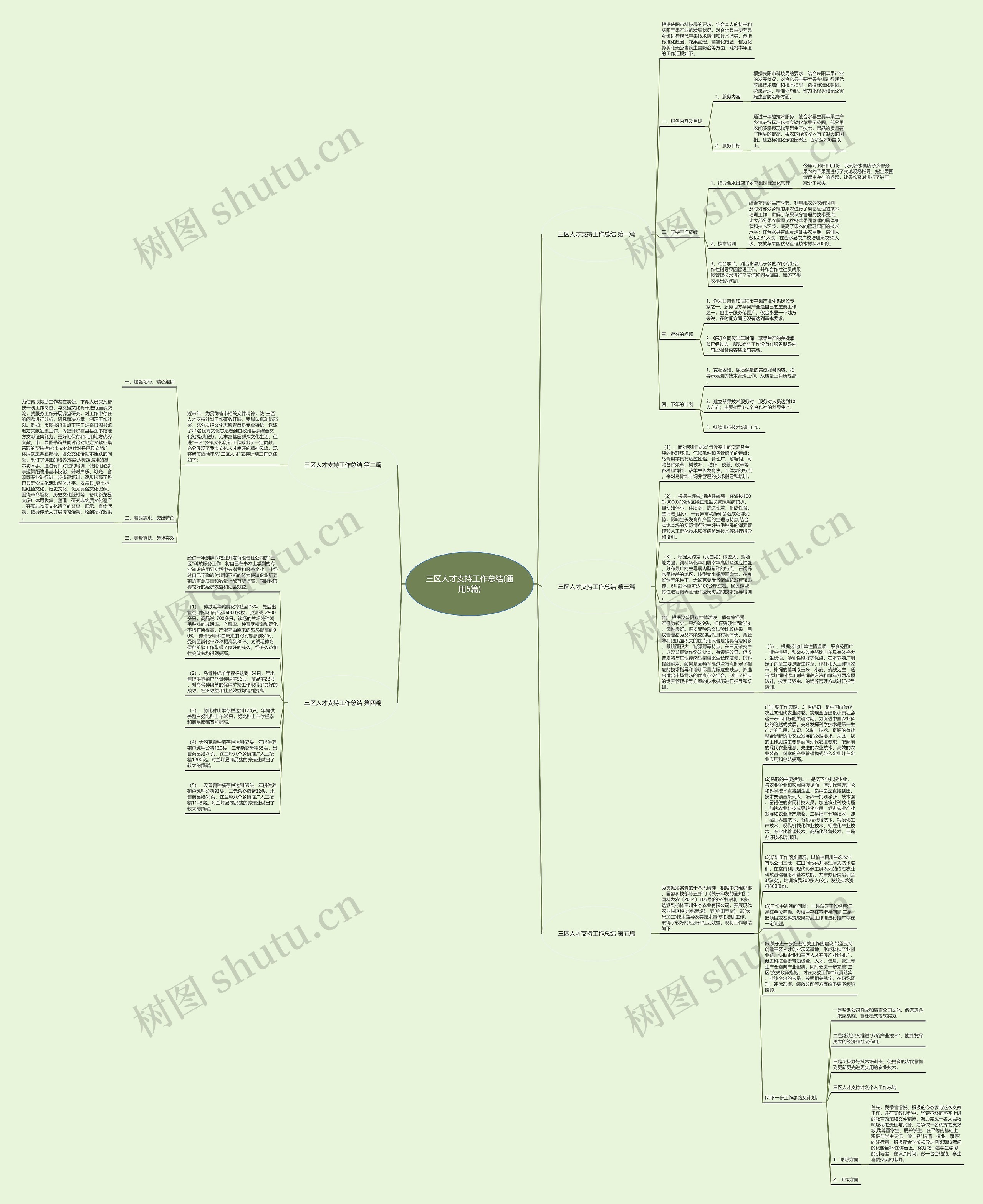三区人才支持工作总结(通用5篇)思维导图