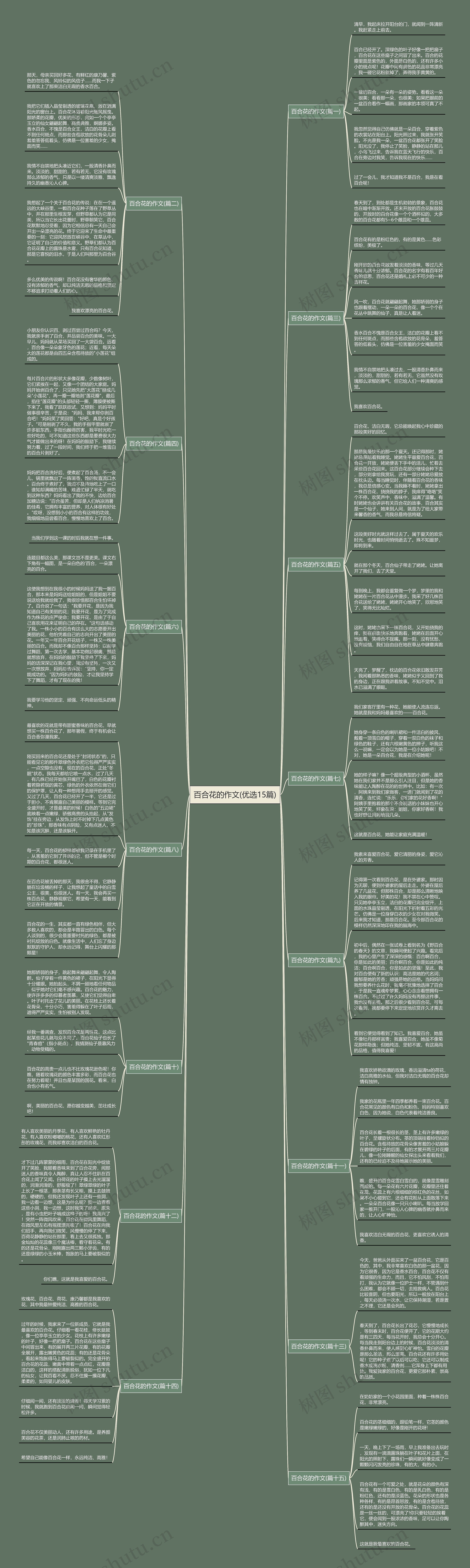 百合花的作文(优选15篇)思维导图