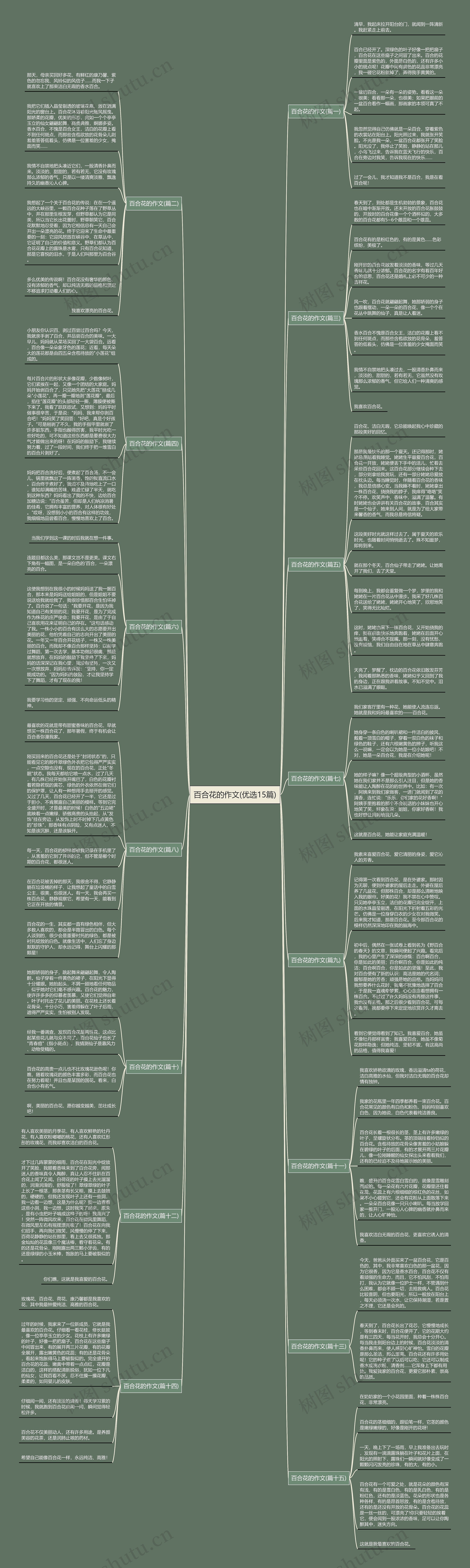 百合花的作文(优选15篇) 百合花的作文(优选15篇)