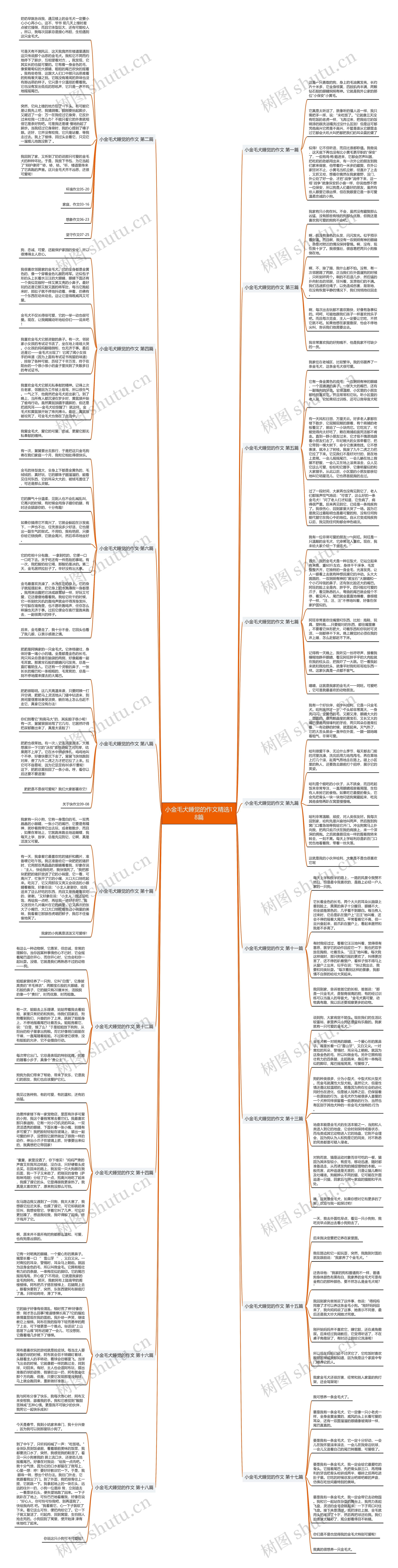 小金毛犬睡觉的作文精选18篇思维导图