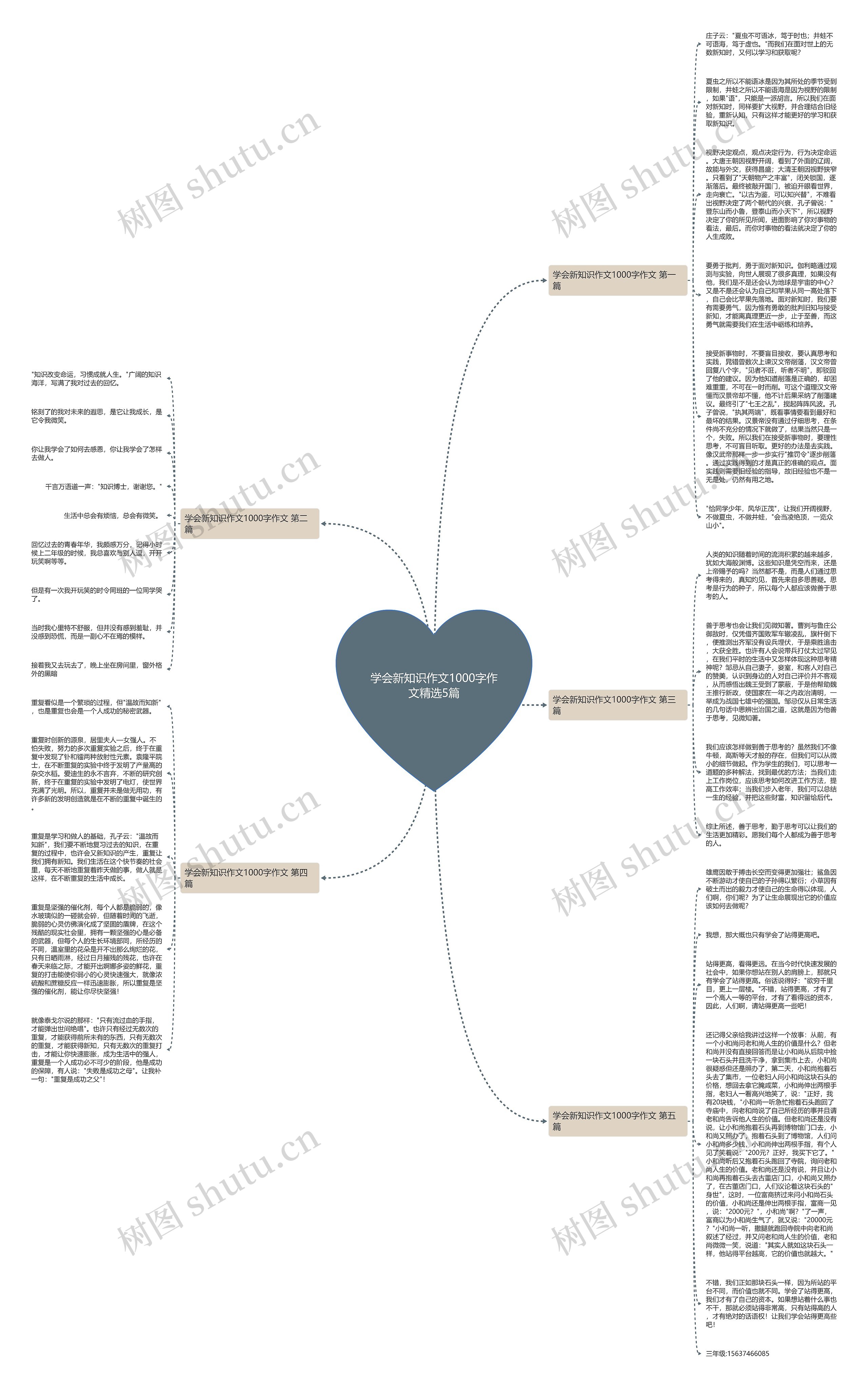 学会新知识作文1000字作文精选5篇思维导图