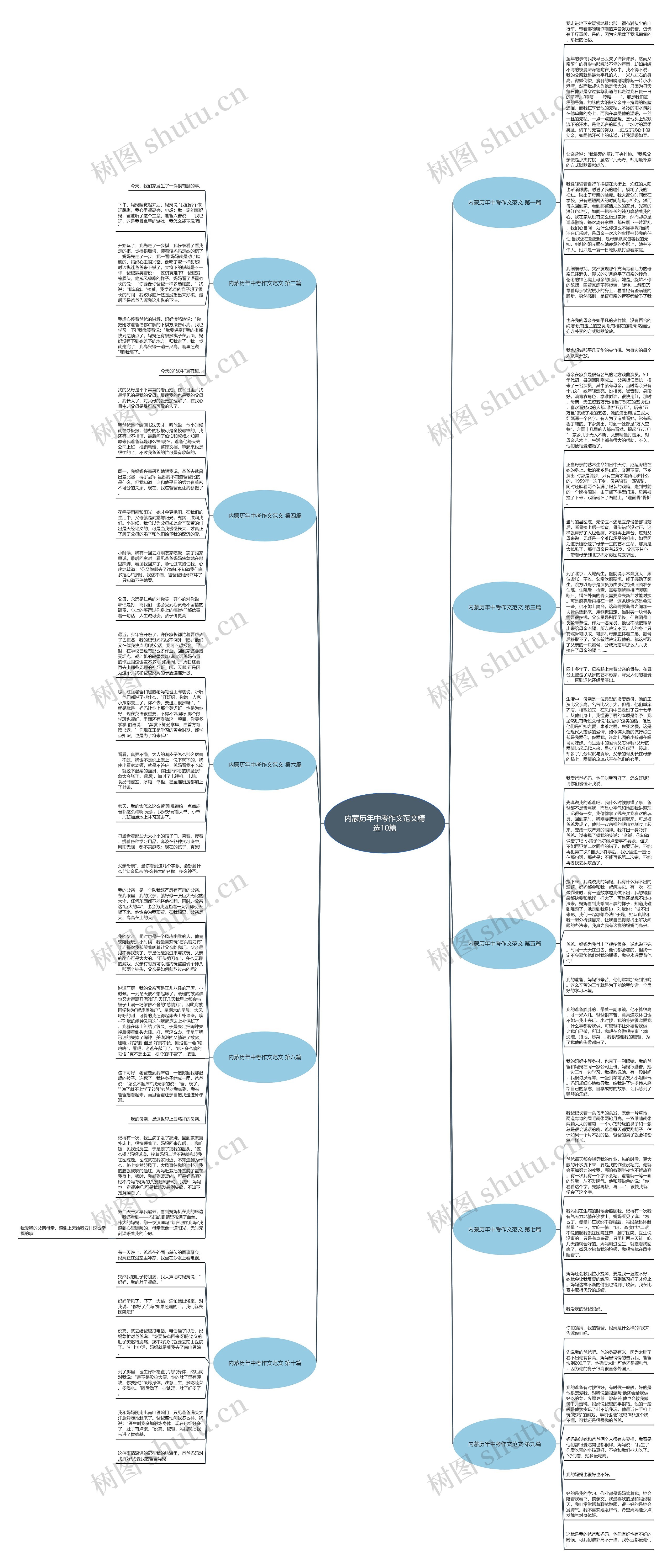 内蒙历年中考作文范文精选10篇思维导图