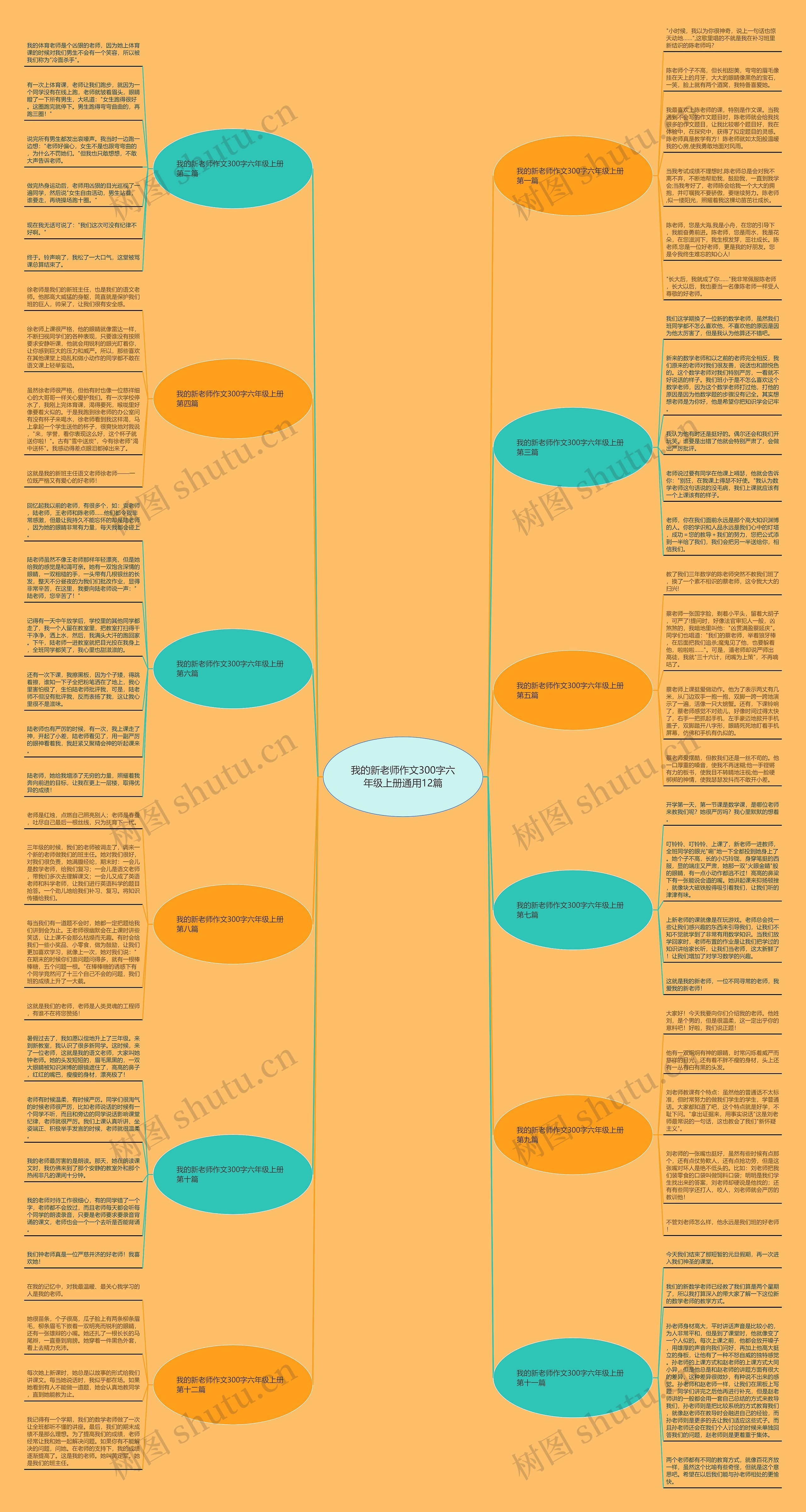 我的新老师作文300字六年级上册通用12篇思维导图