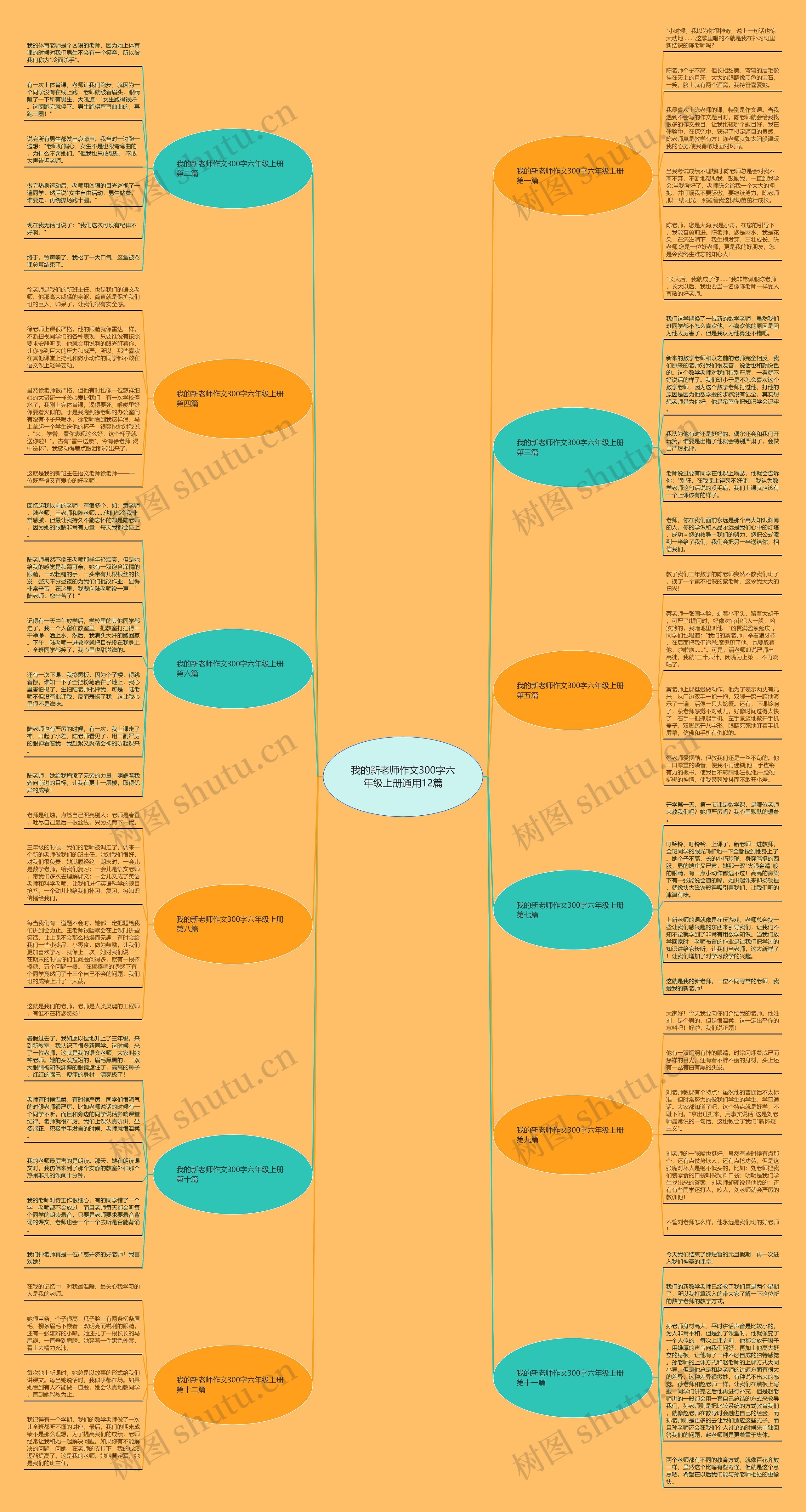 我的新老师作文300字六年级上册通用12篇 我的新老师作文300字六年级上册通用12篇