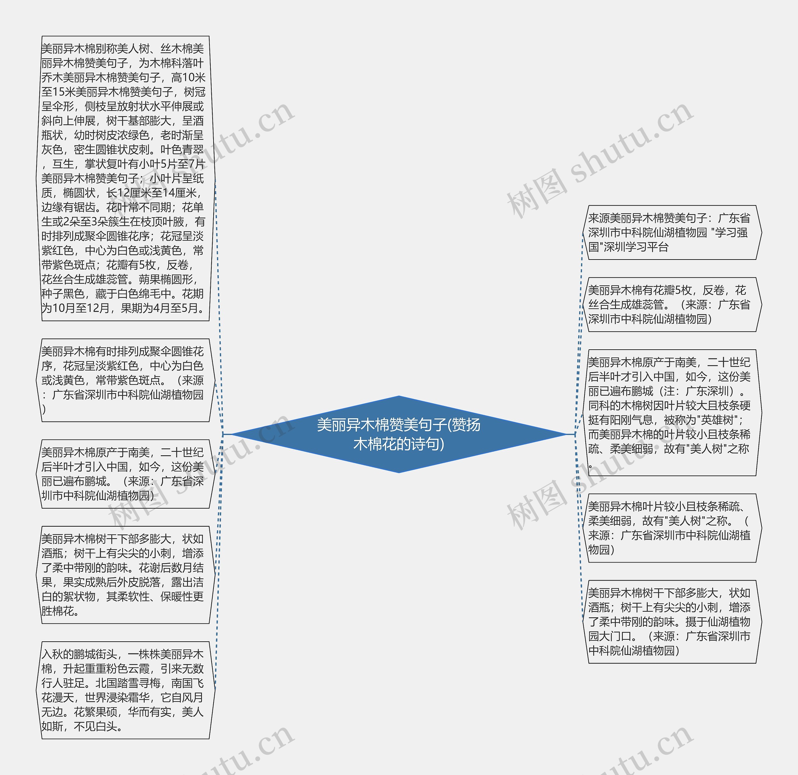 美丽异木棉赞美句子(赞扬木棉花的诗句)思维导图