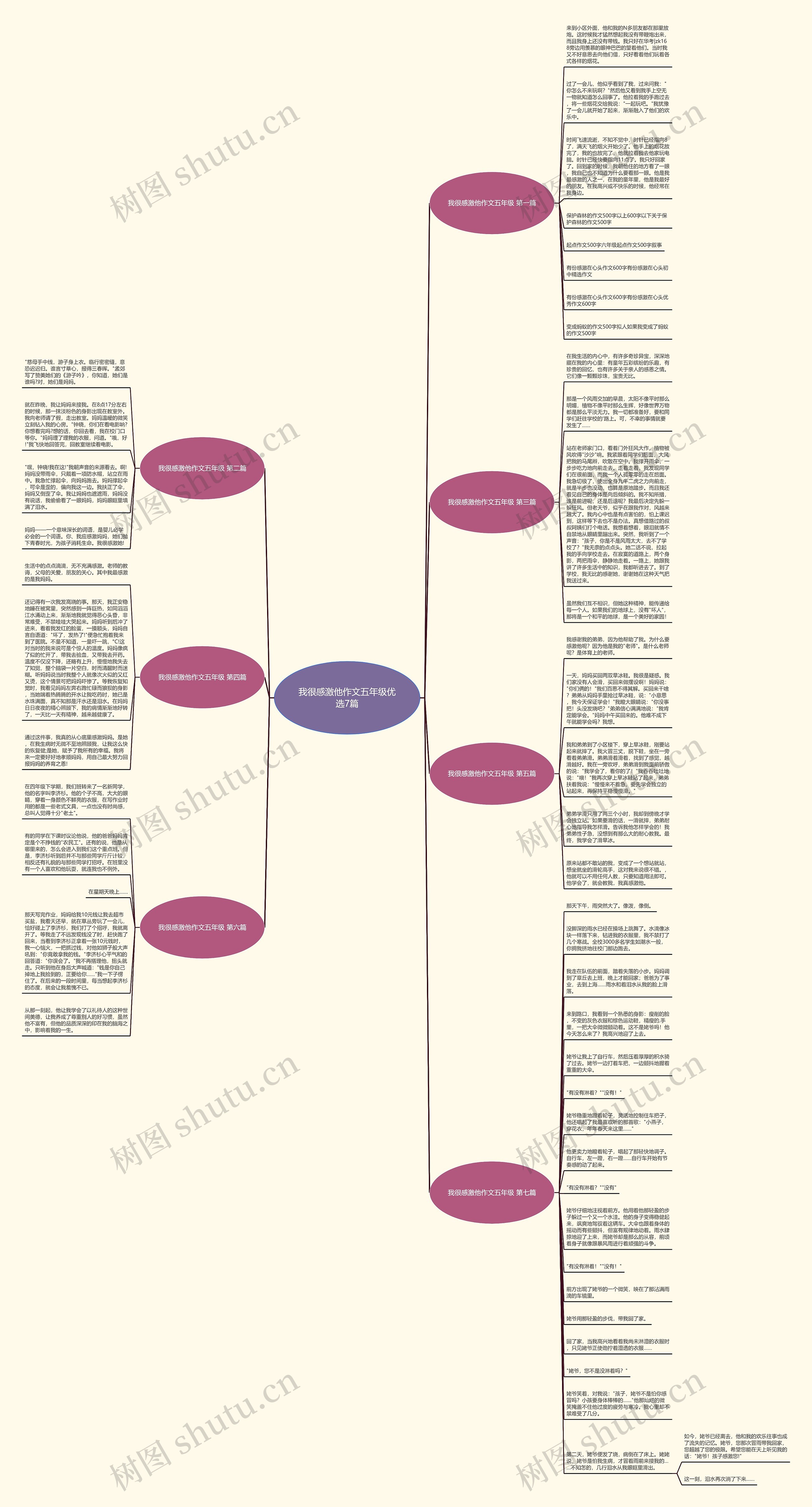 我很感激他作文五年级优选7篇思维导图
