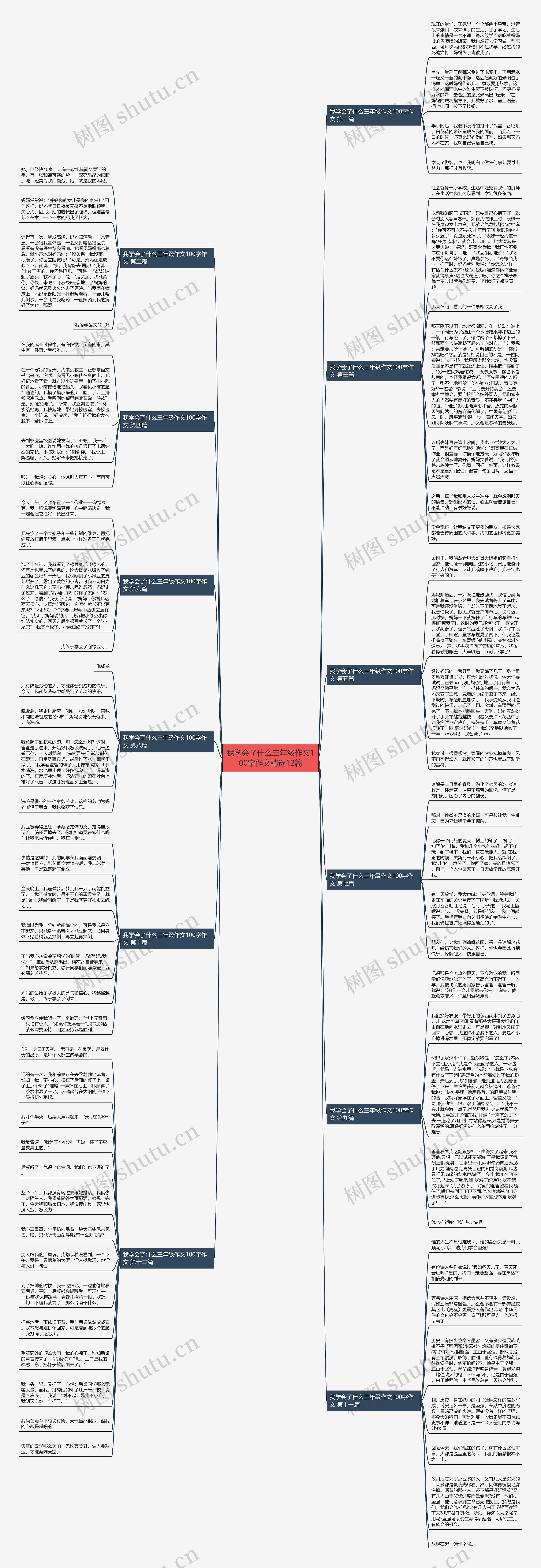 我学会了什么三年级作文100字作文精选12篇思维导图