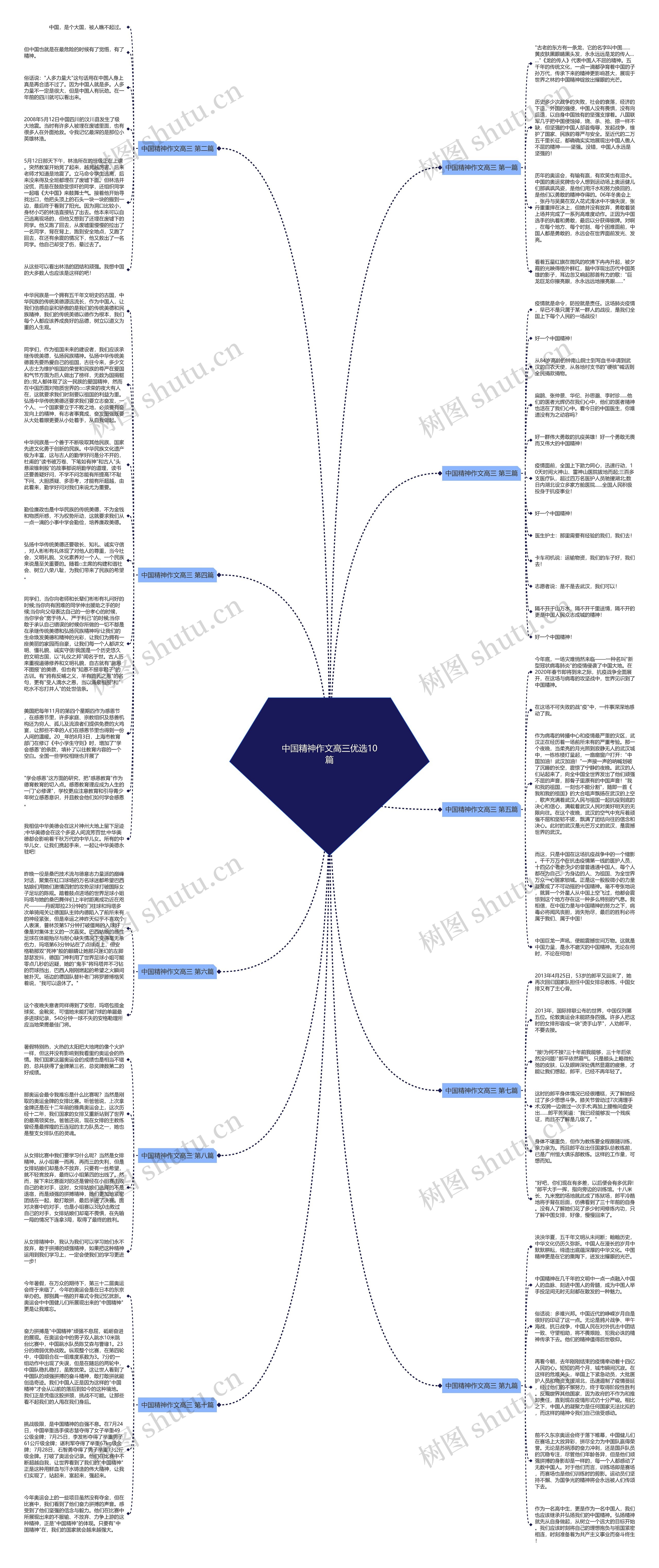 中国精神作文高三优选10篇思维导图