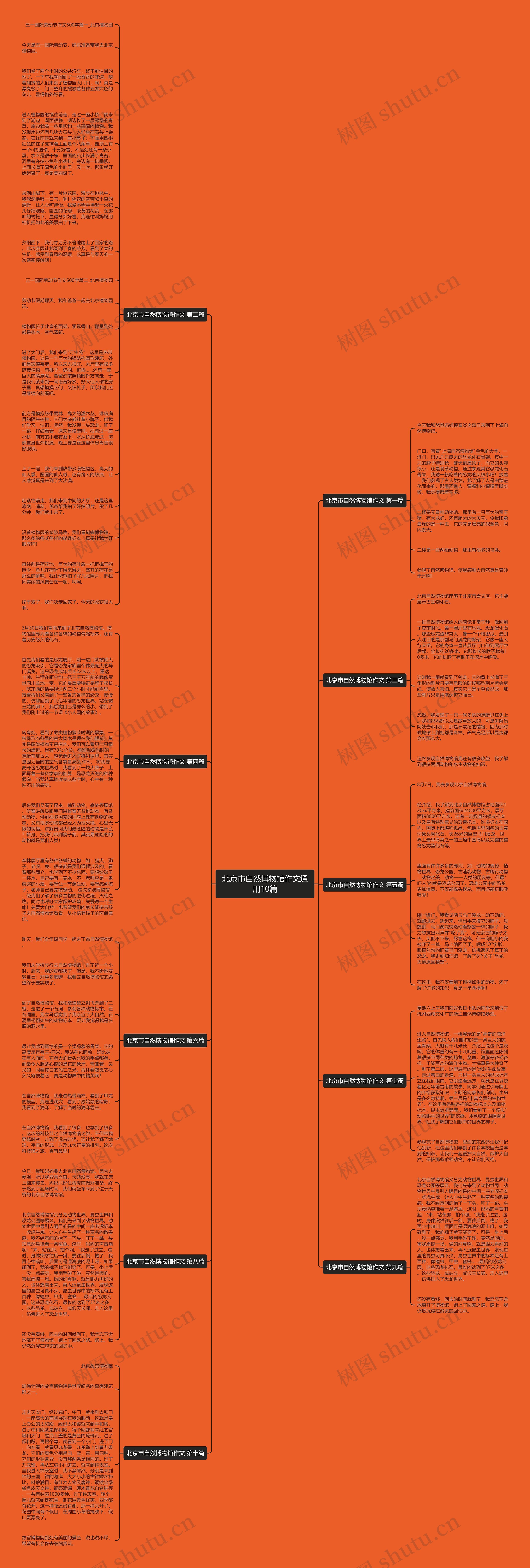 北京市自然博物馆作文通用10篇思维导图