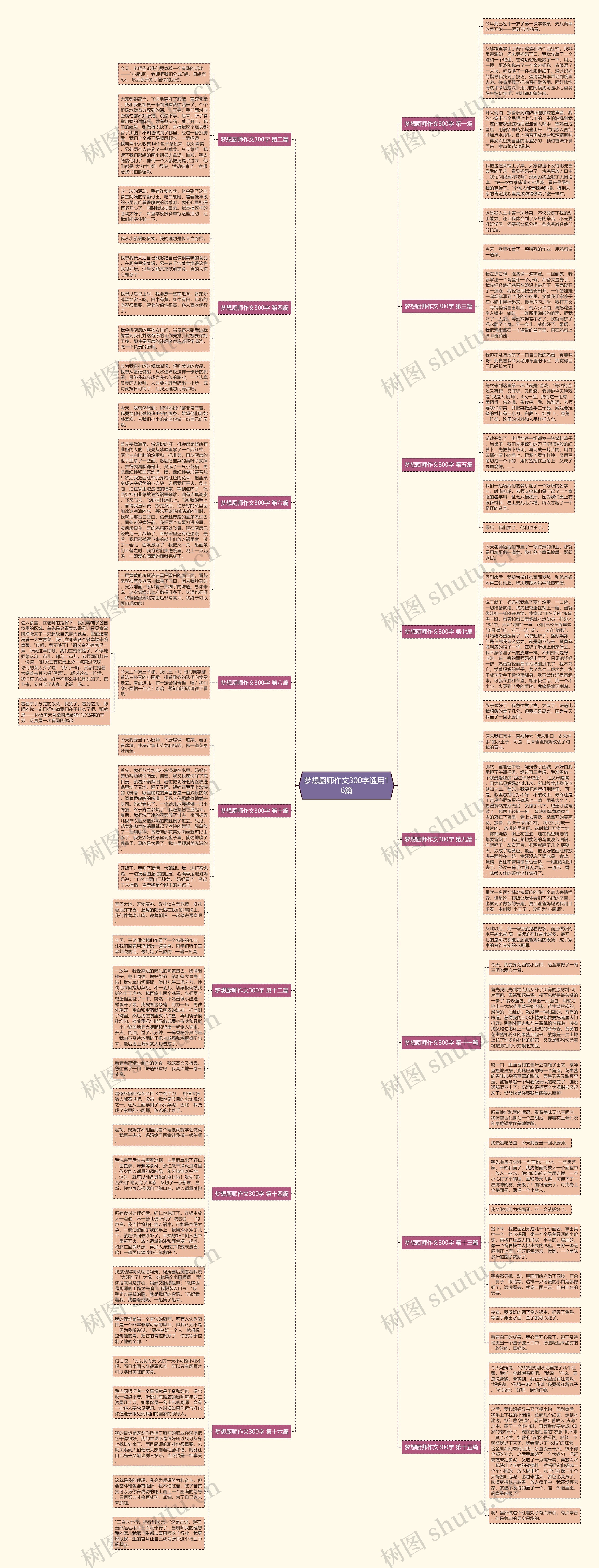 梦想厨师作文300字通用16篇思维导图
