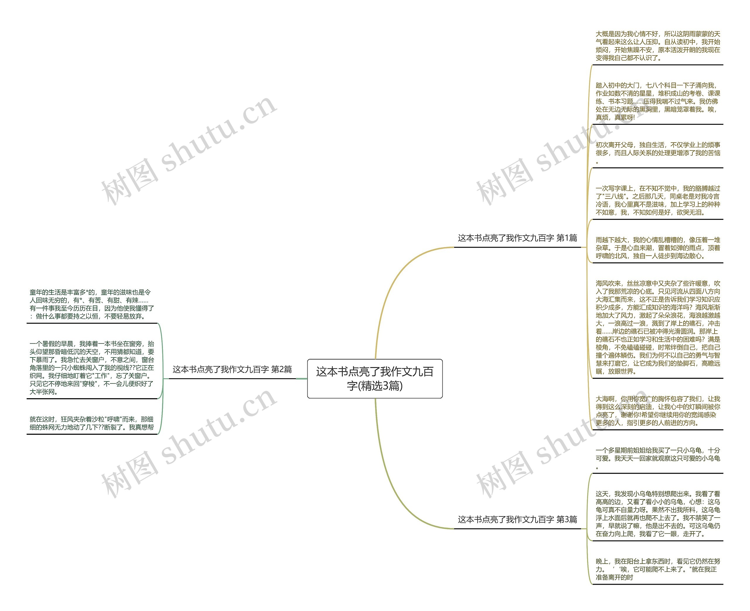 这本书点亮了我作文九百字(精选3篇)思维导图