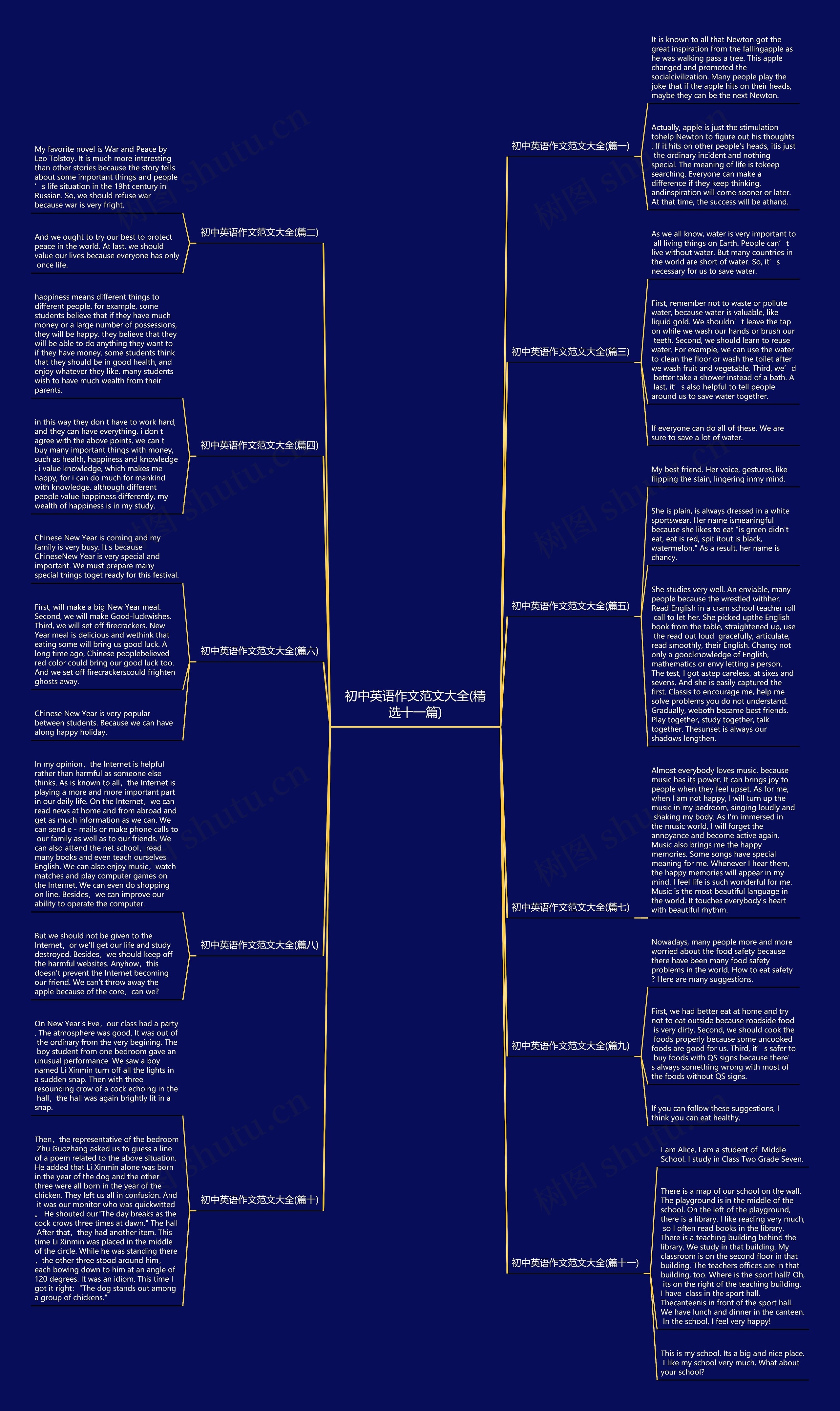 初中英语作文范文大全(精选十一篇)思维导图