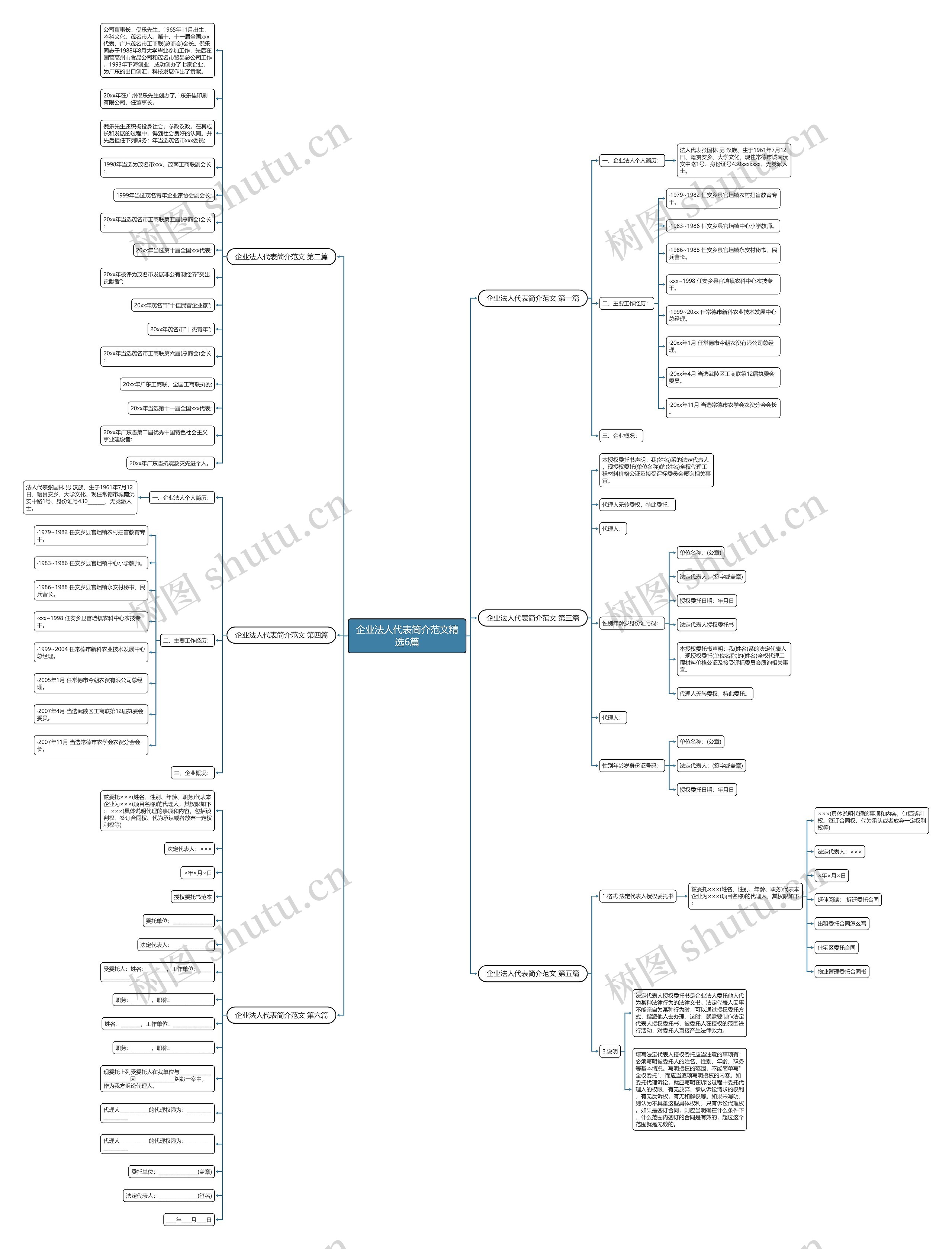 企业法人代表简介范文精选6篇思维导图