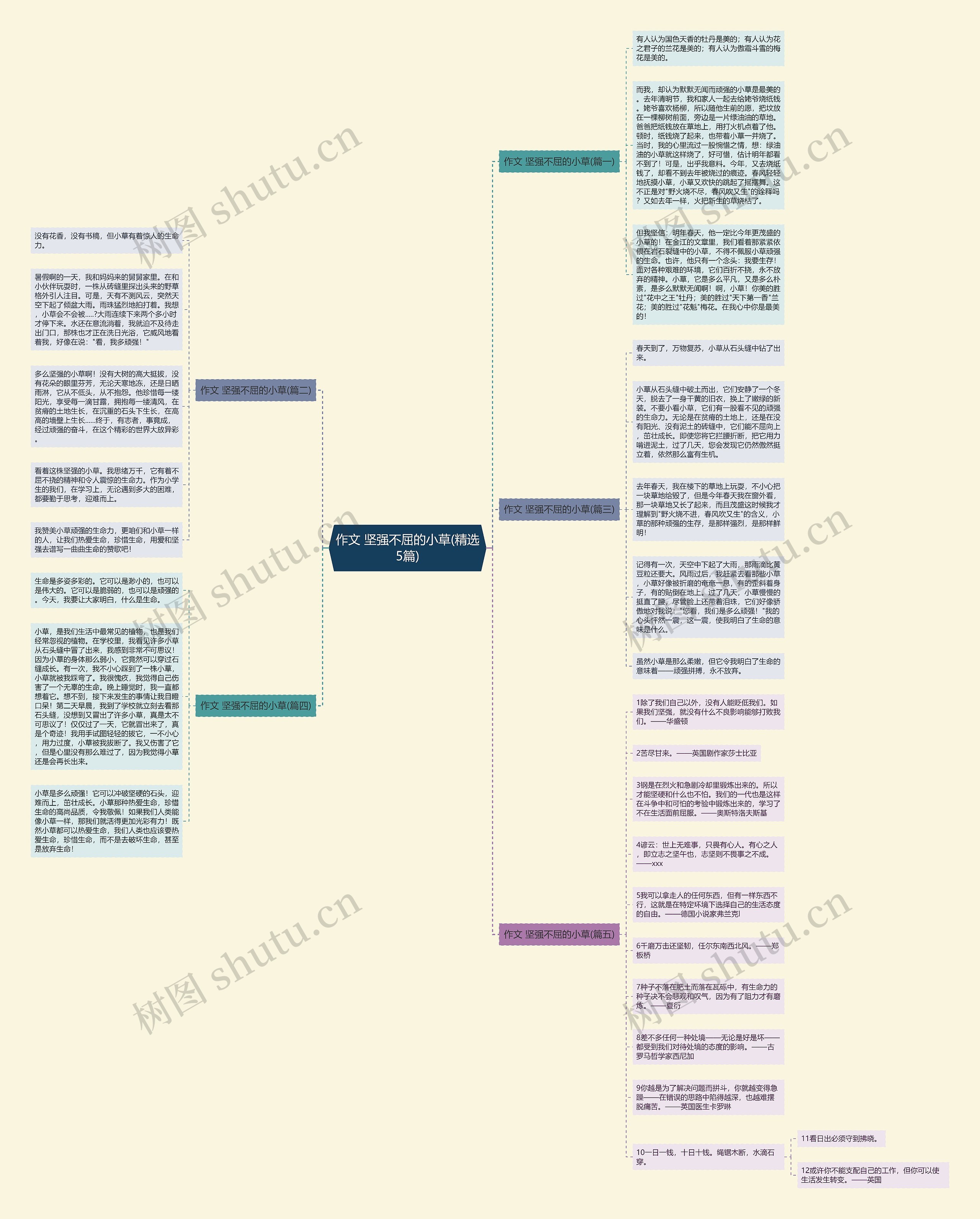 作文 坚强不屈的小草(精选5篇)思维导图