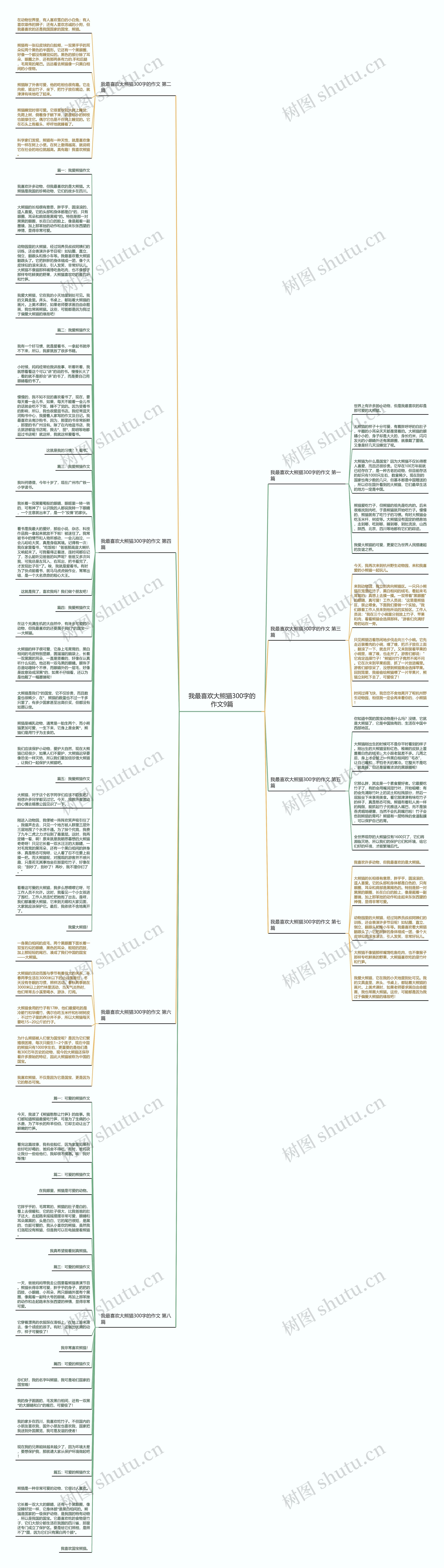 我最喜欢大熊猫300字的作文9篇思维导图