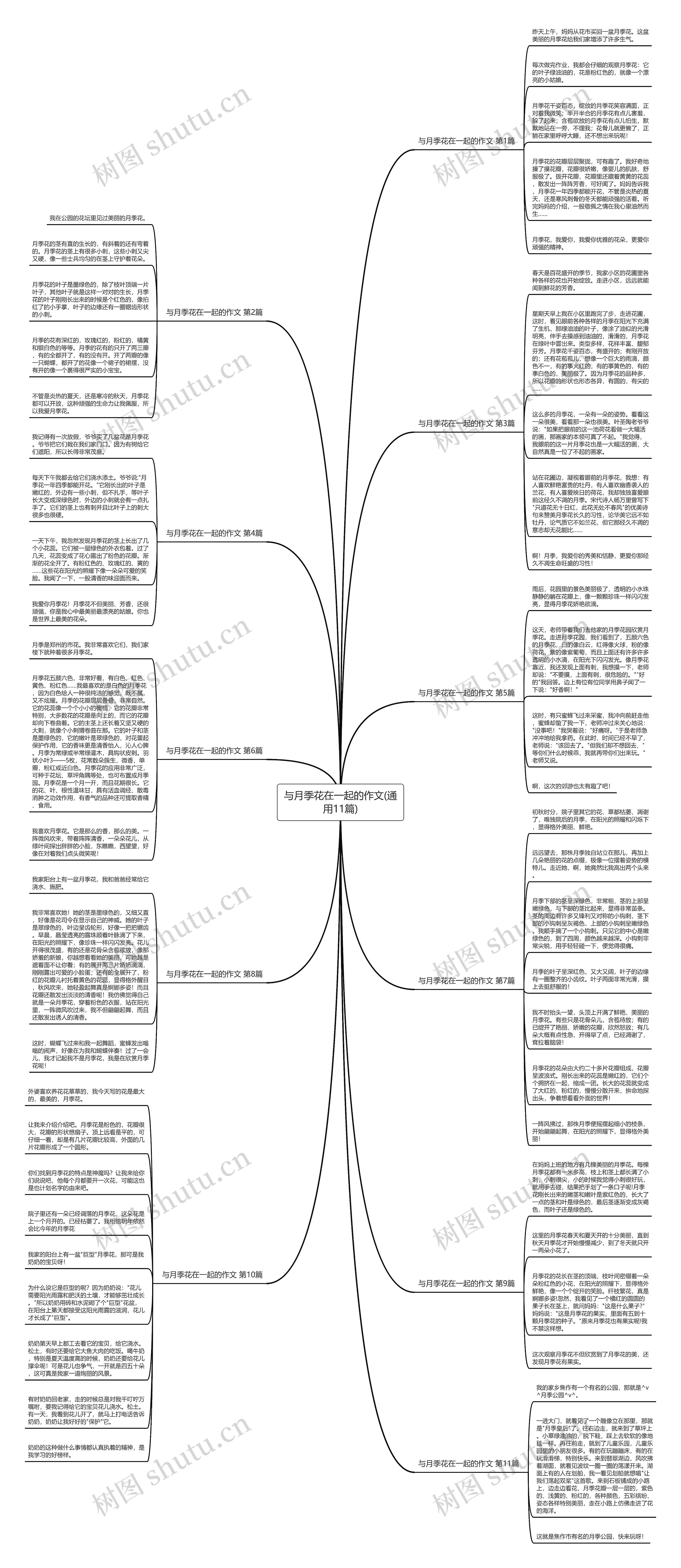 与月季花在一起的作文(通用11篇)思维导图