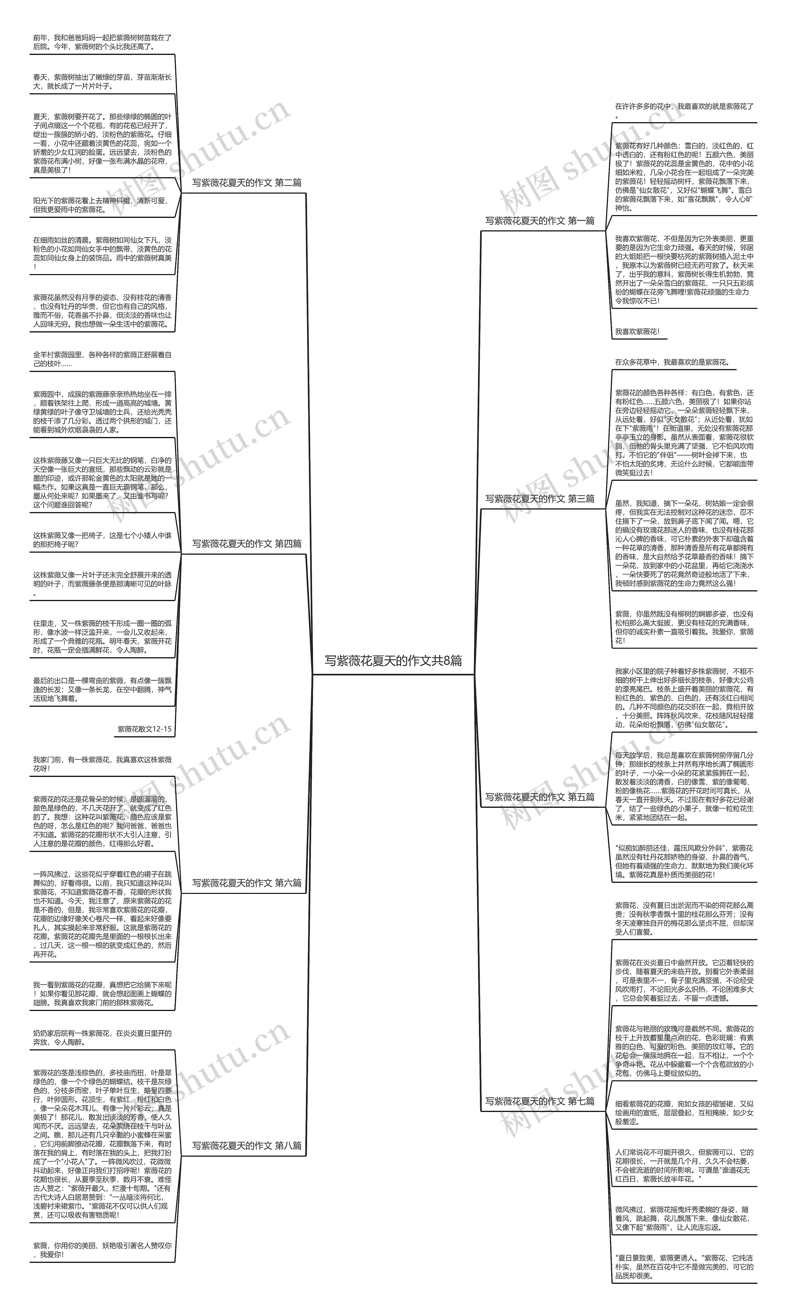 写紫薇花夏天的作文共8篇思维导图