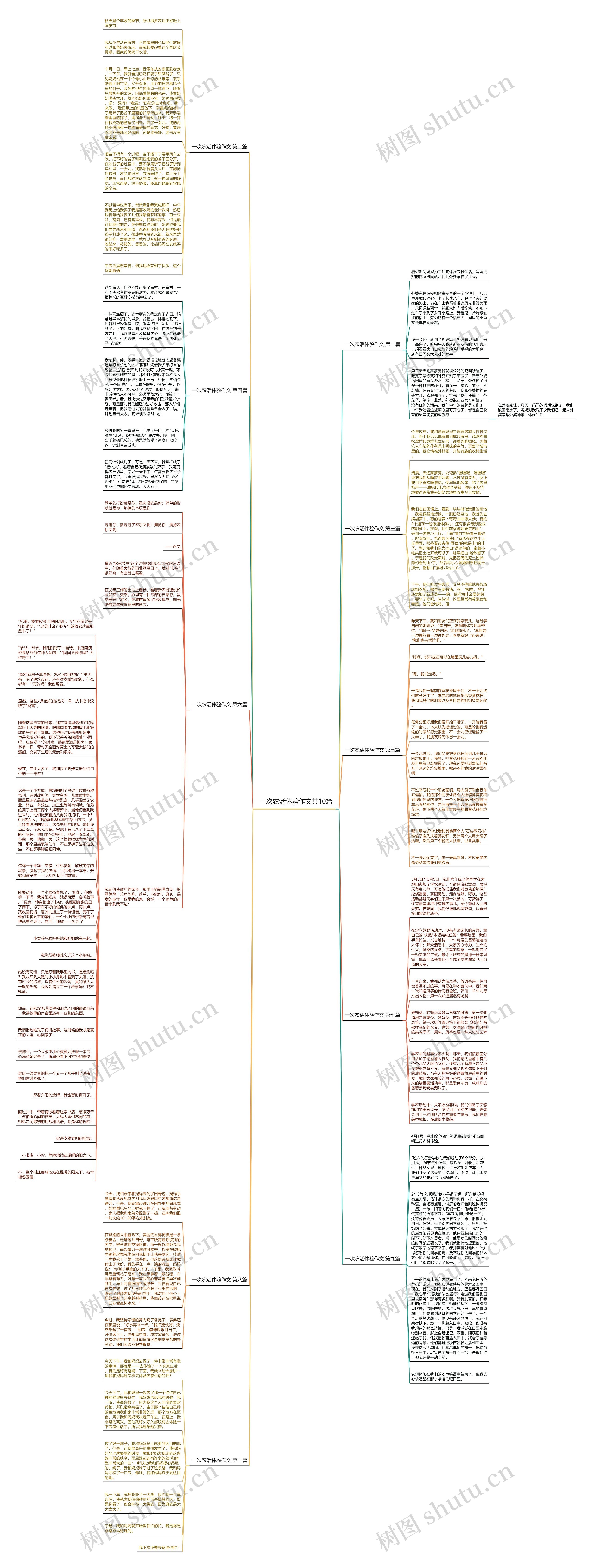 一次农活体验作文共10篇思维导图