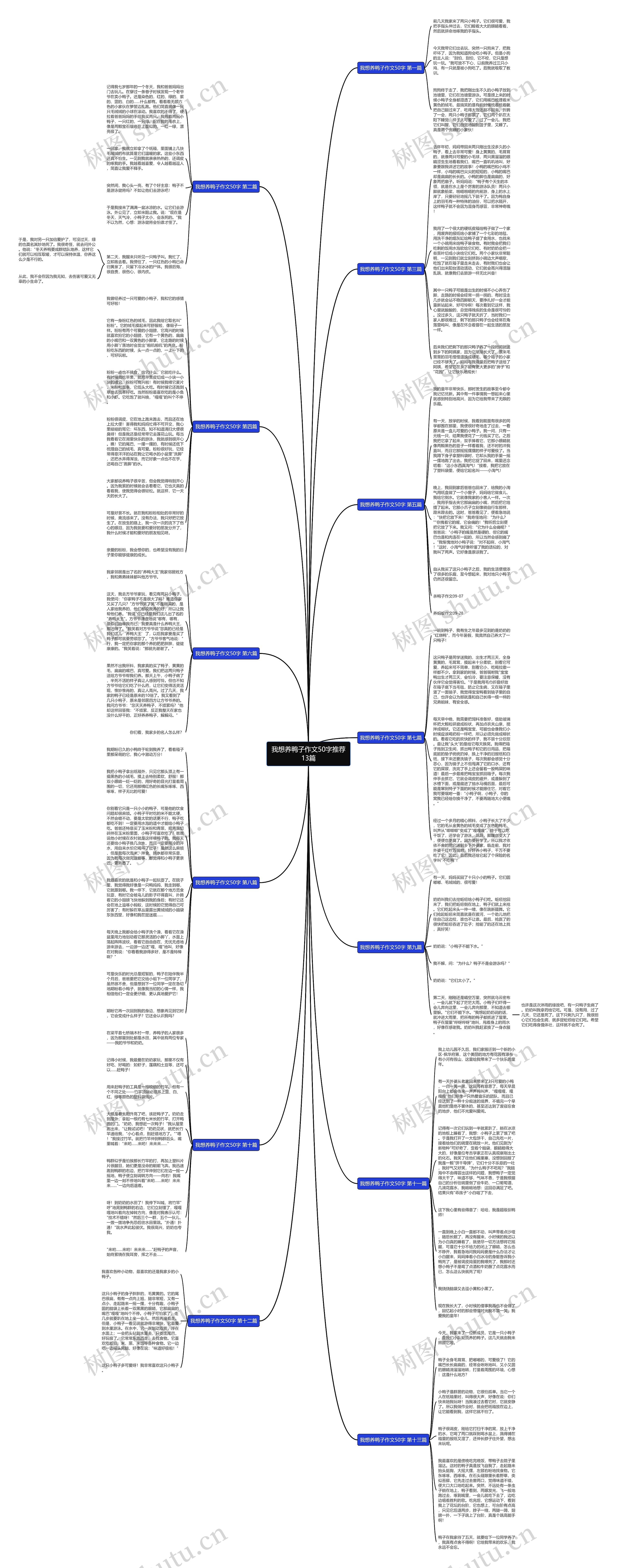 我想养鸭子作文50字推荐13篇思维导图