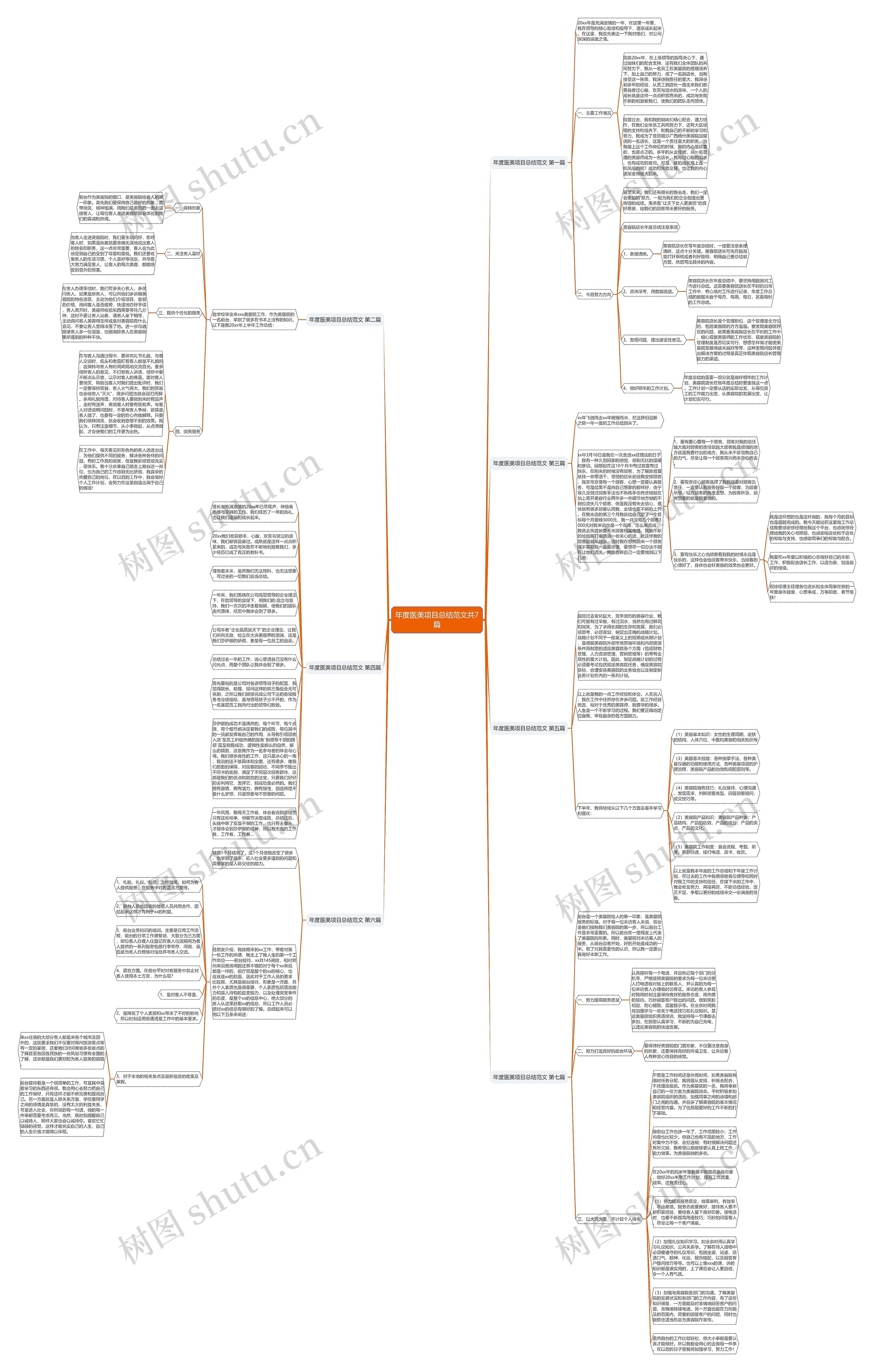年度医美项目总结范文共7篇思维导图