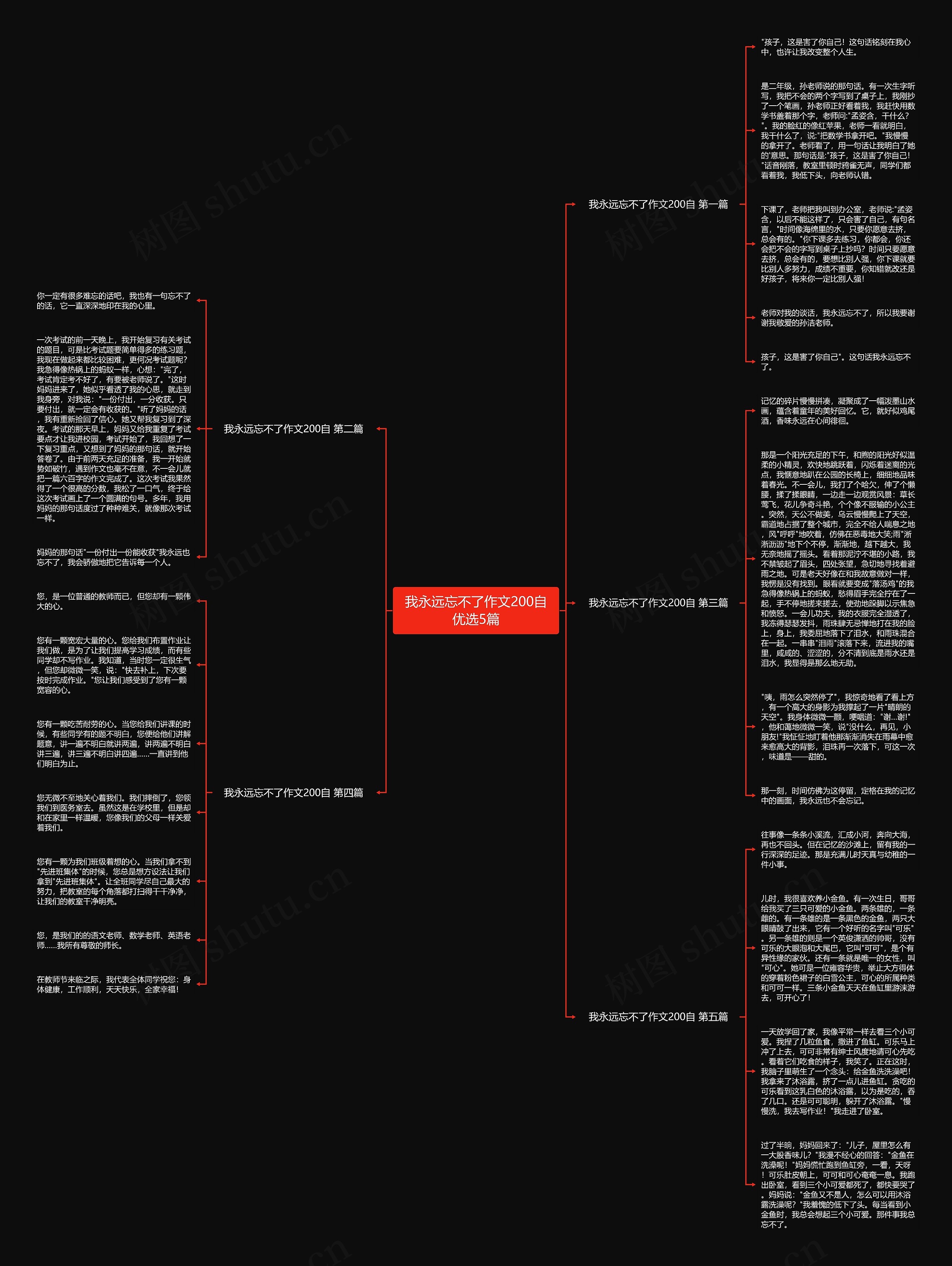 我永远忘不了作文200自优选5篇思维导图