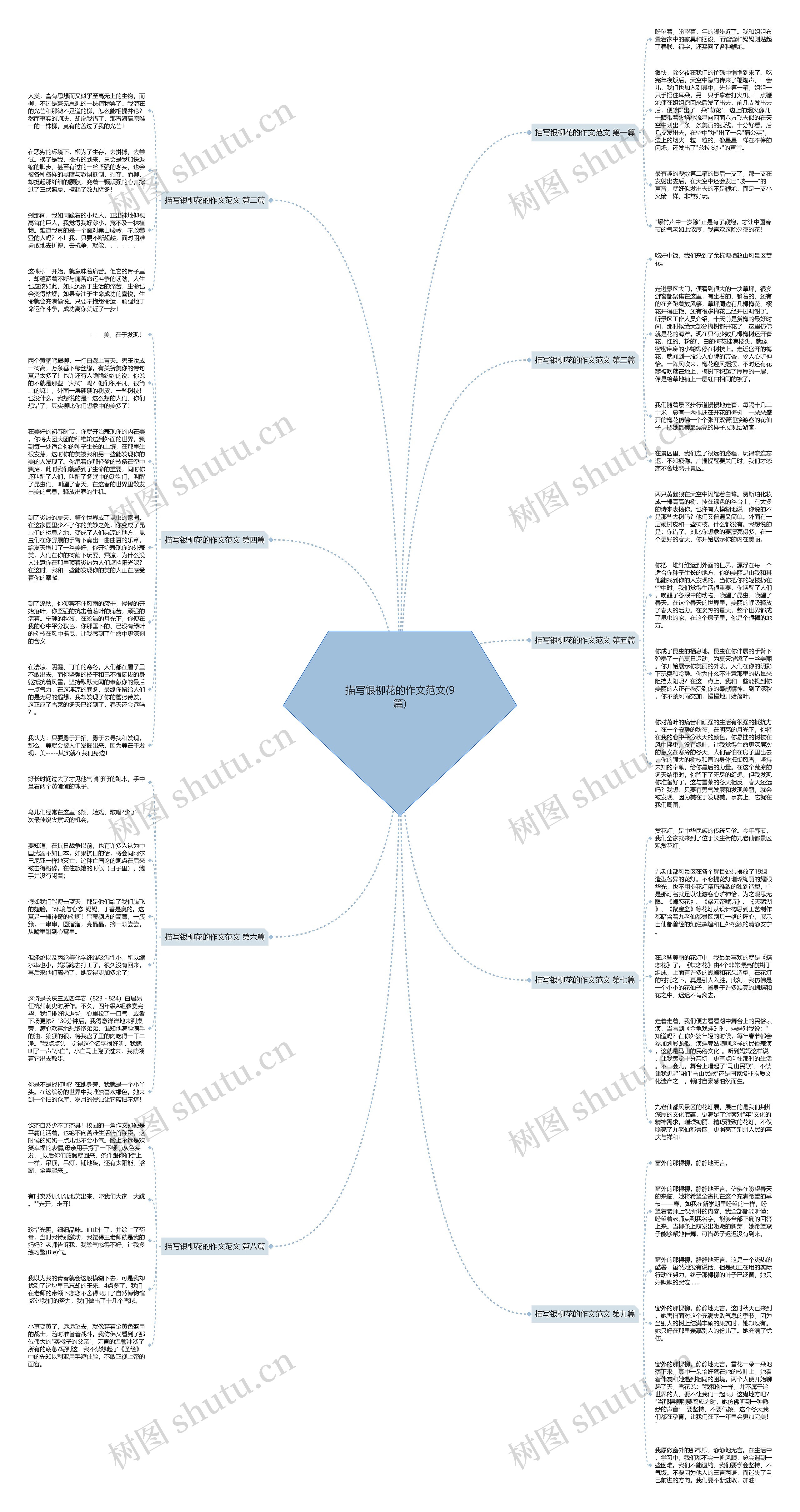 描写银柳花的作文范文(9篇)思维导图