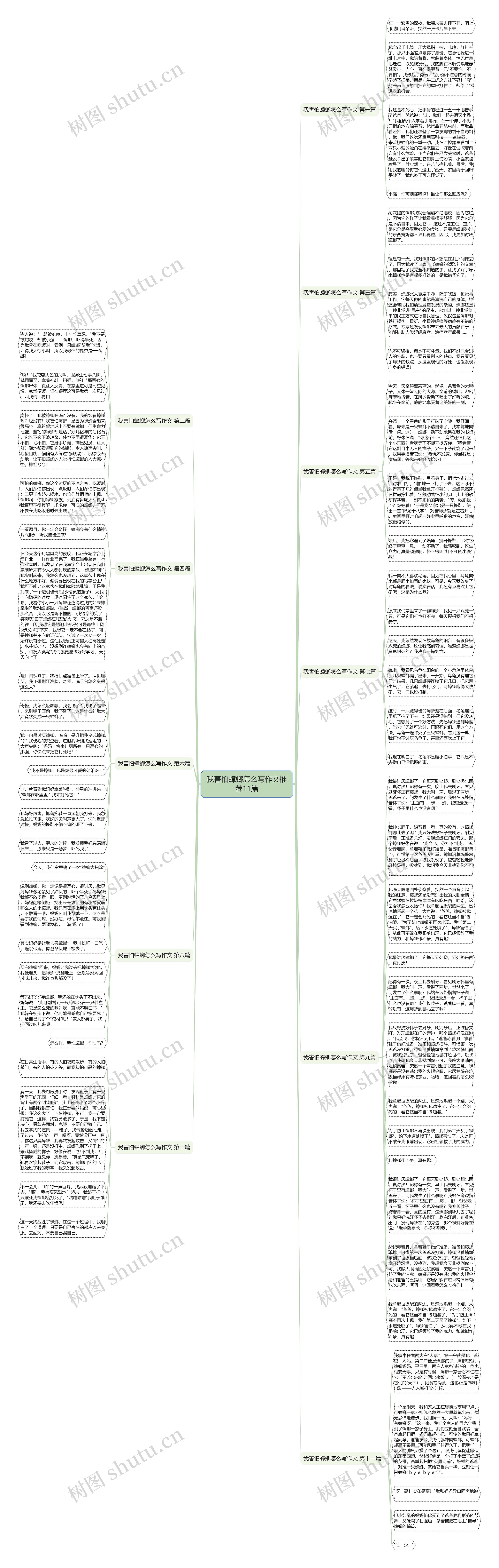 我害怕蟑螂怎么写作文推荐11篇思维导图高清图 我害怕蟑螂怎么写作文推荐11篇思维导图