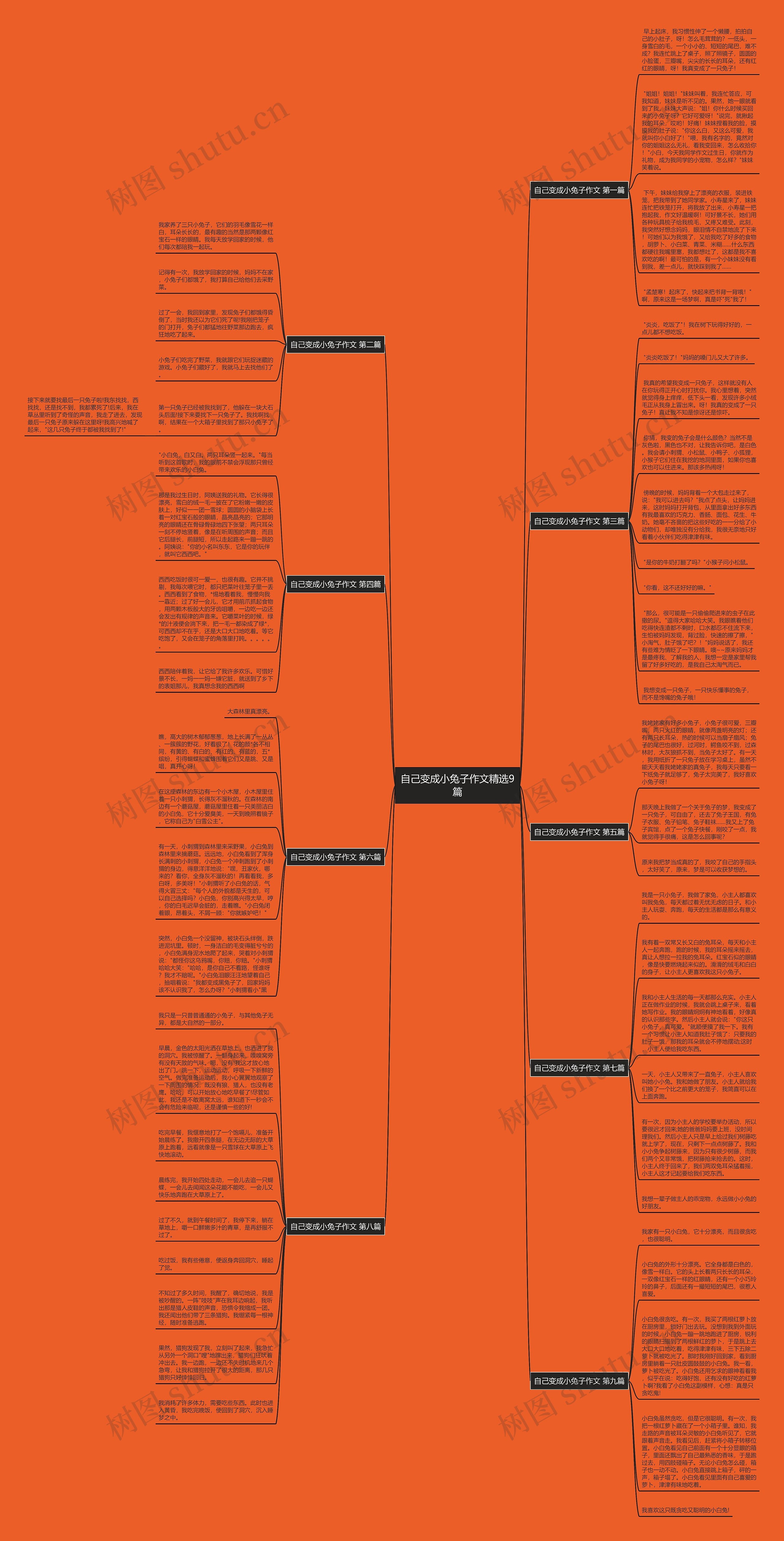 自己变成小兔子作文精选9篇 自己变成小兔子作文精选9篇