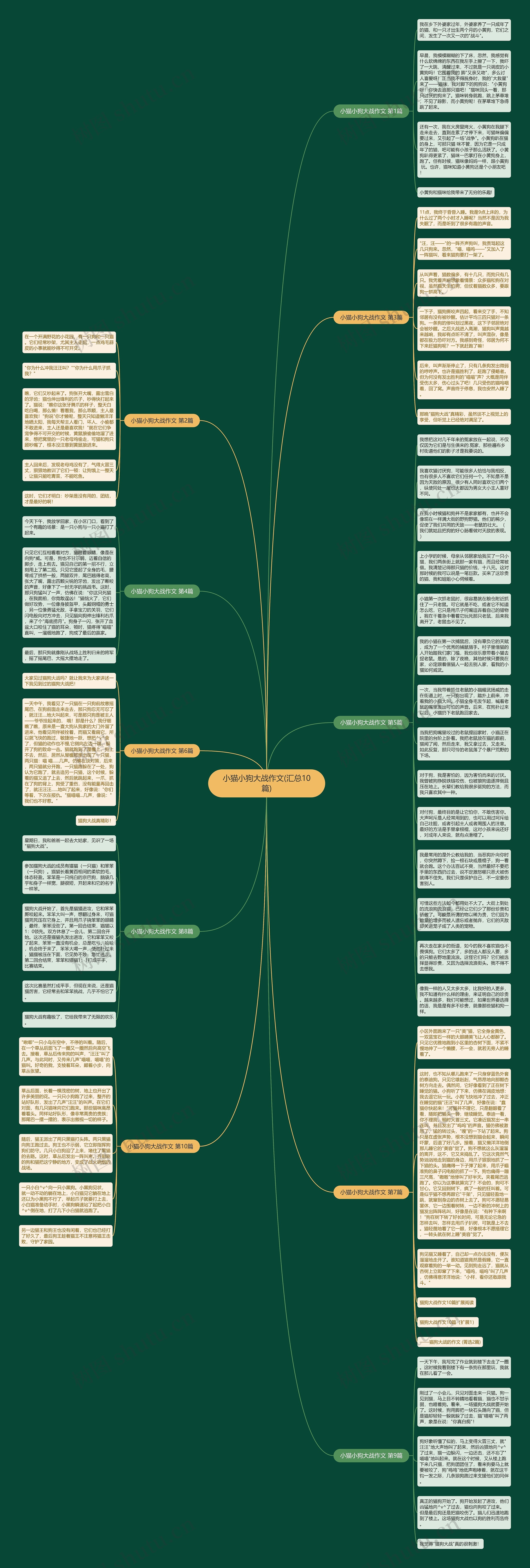小猫小狗大战作文(汇总10篇)思维导图