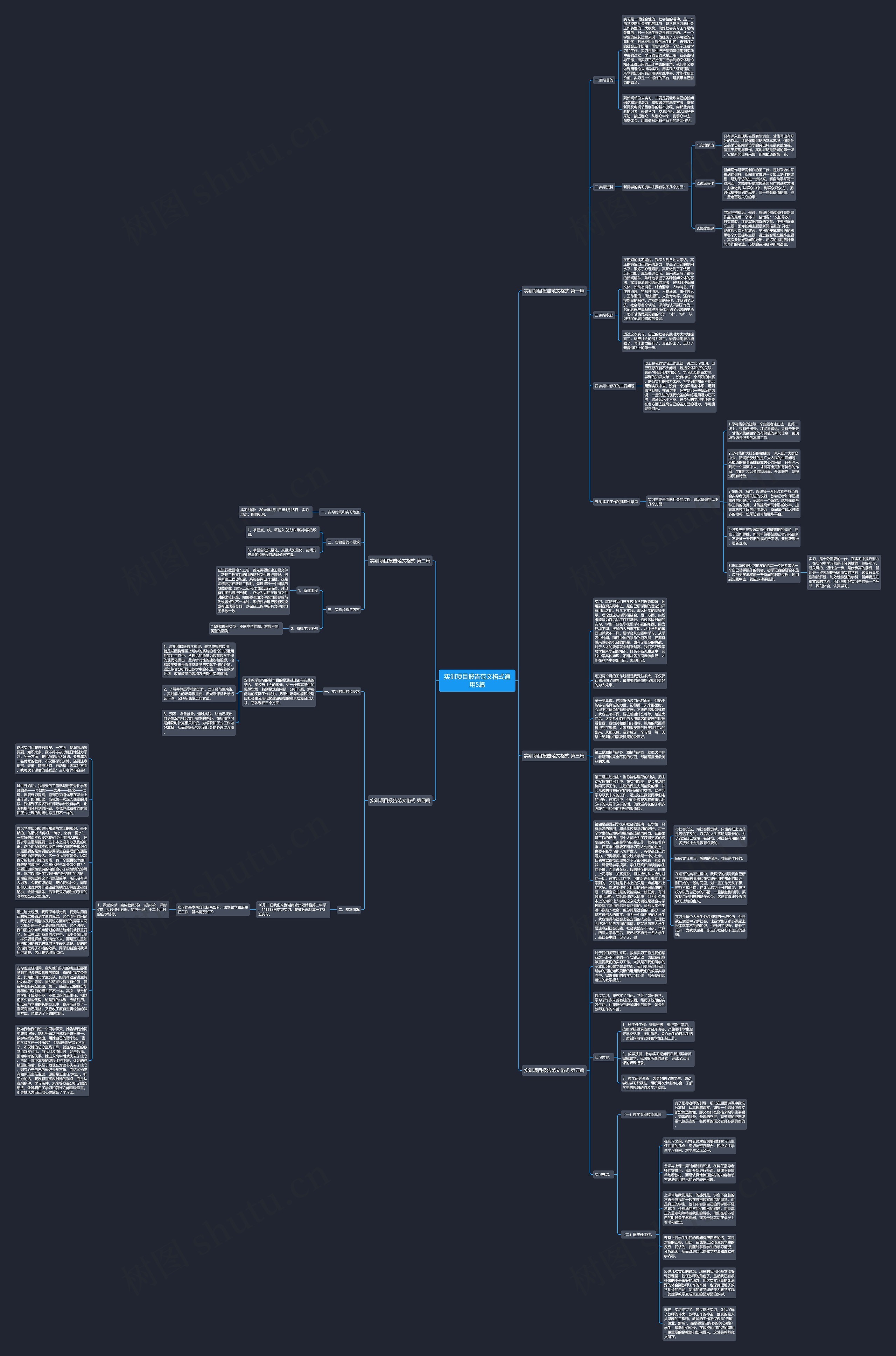 实训项目报告范文格式通用5篇思维导图