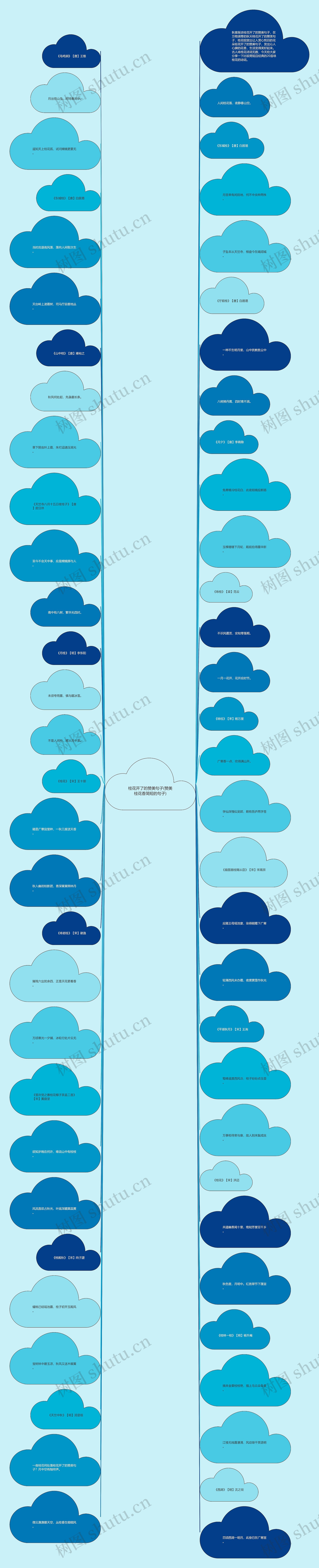 桂花开了的赞美句子(赞美桂花香简短的句子) 桂花开了的赞美句子(赞美桂花香简短的句子)