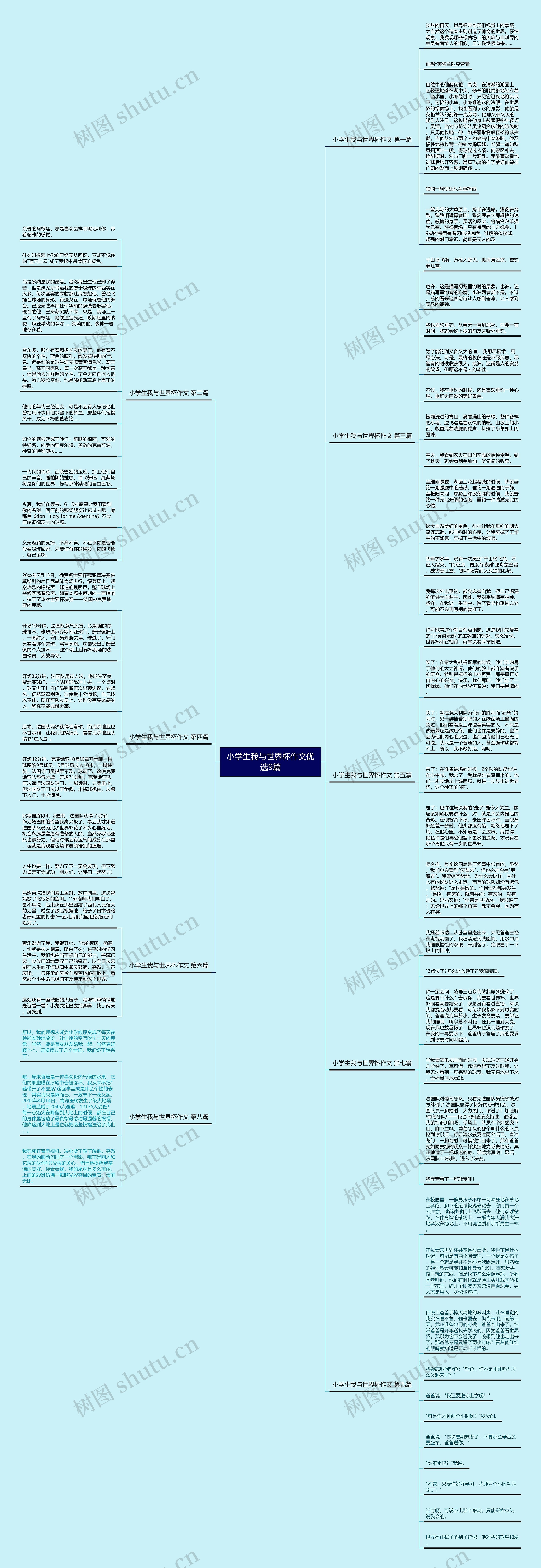 小学生我与世界杯作文优选9篇思维导图