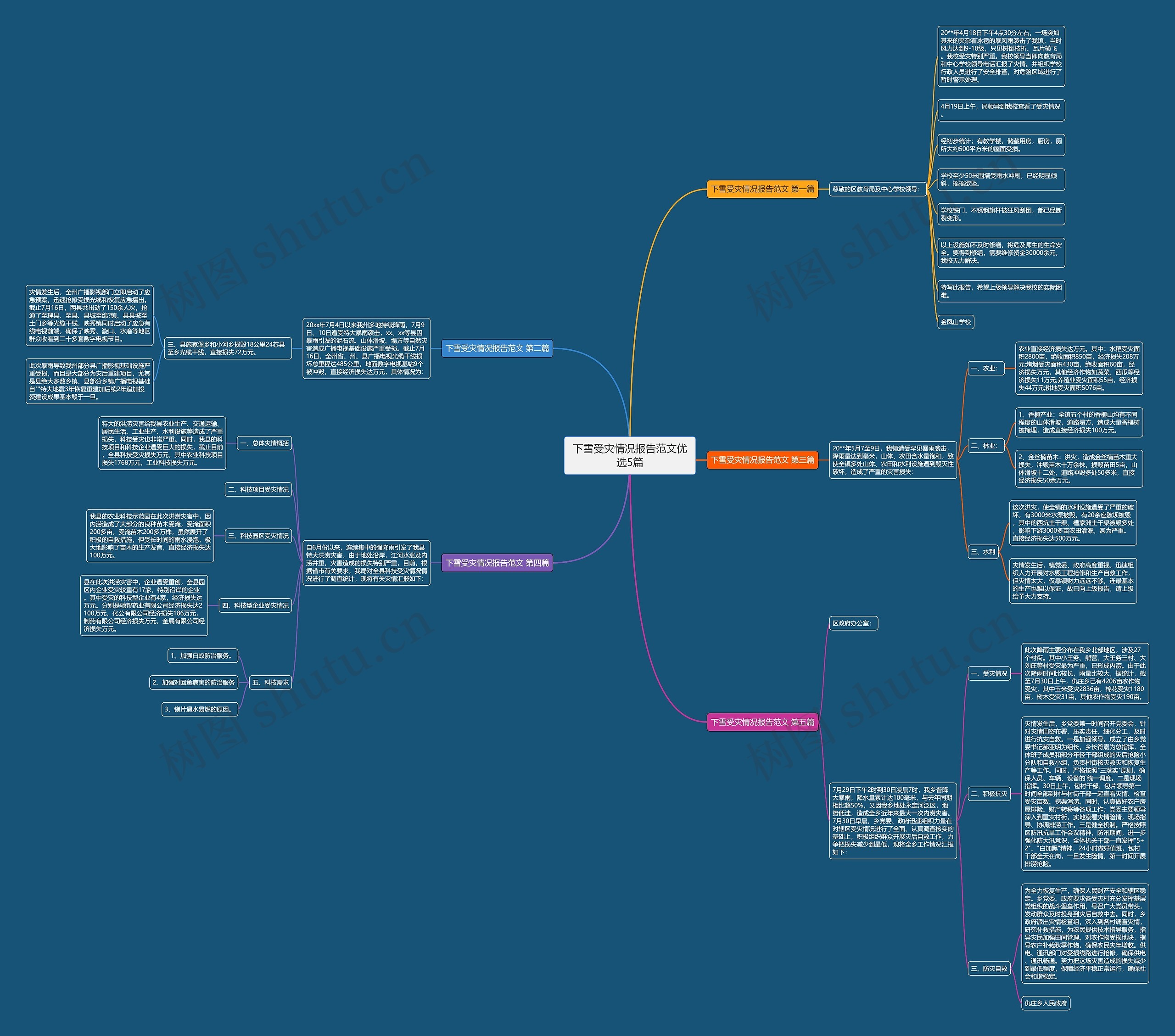 下雪受灾情况报告范文优选5篇思维导图
