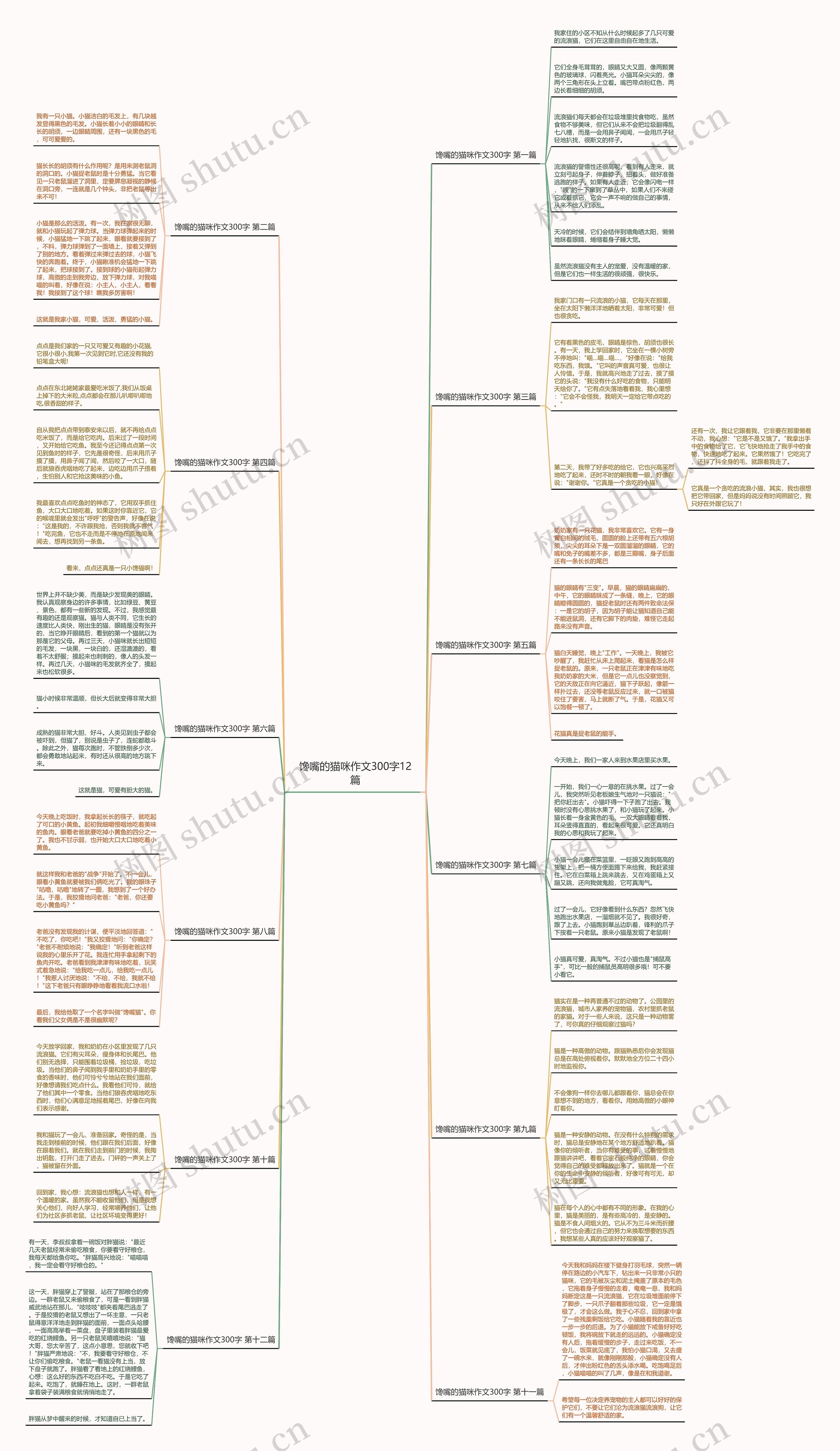馋嘴的猫咪作文300字12篇思维导图