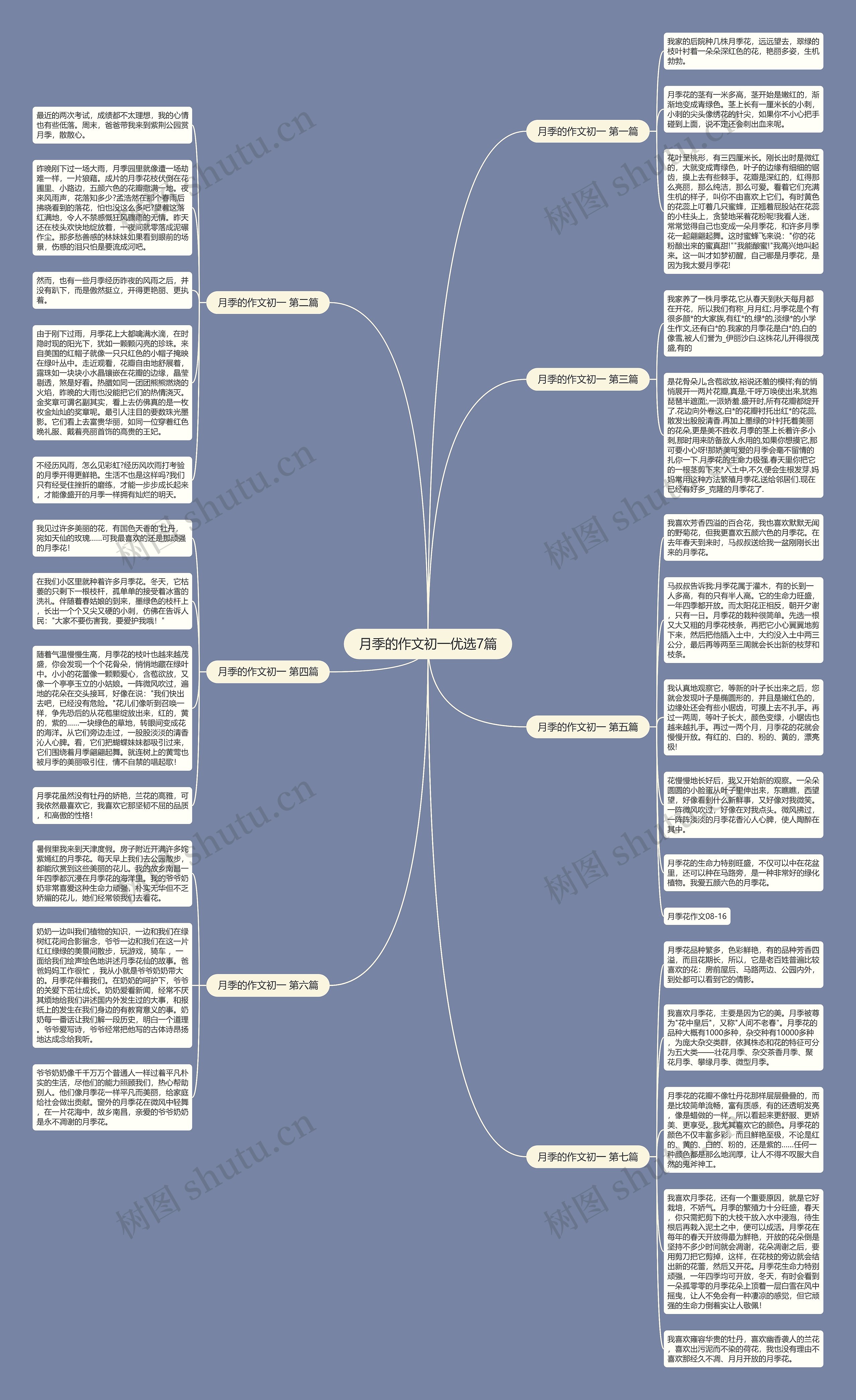 月季的作文初一优选7篇思维导图