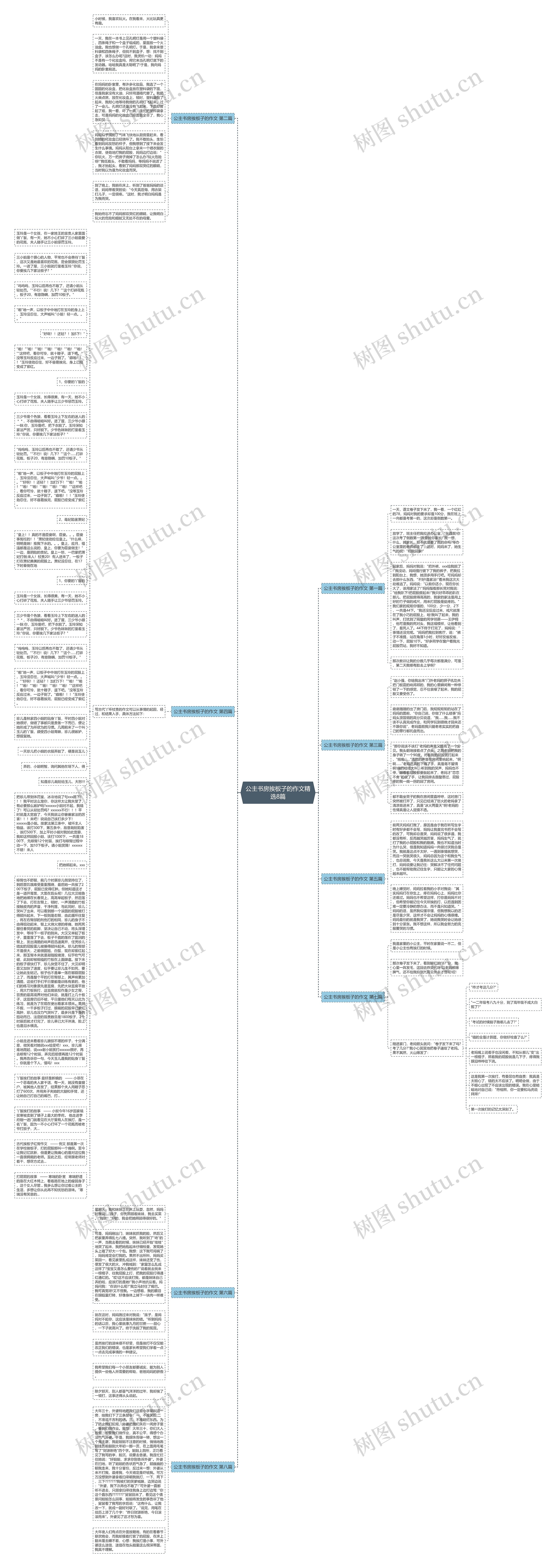 公主书房挨板子的作文精选8篇思维导图
