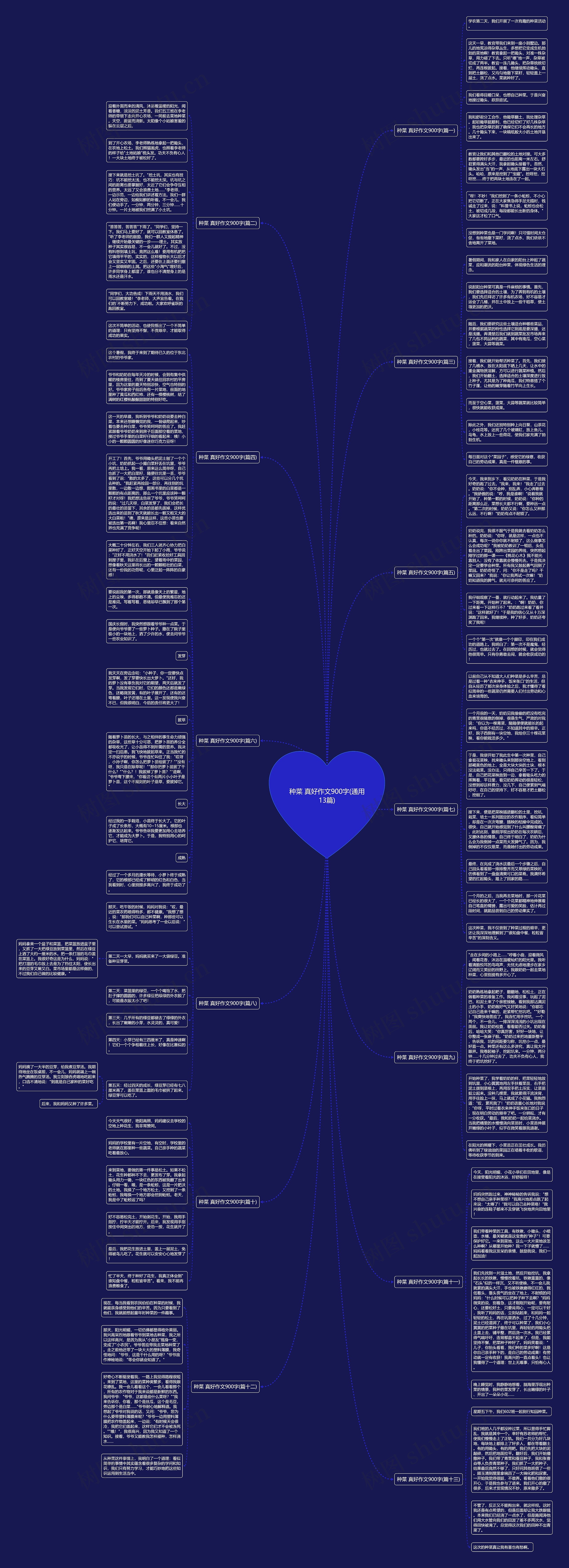 种菜 真好作文900字(通用13篇)思维导图